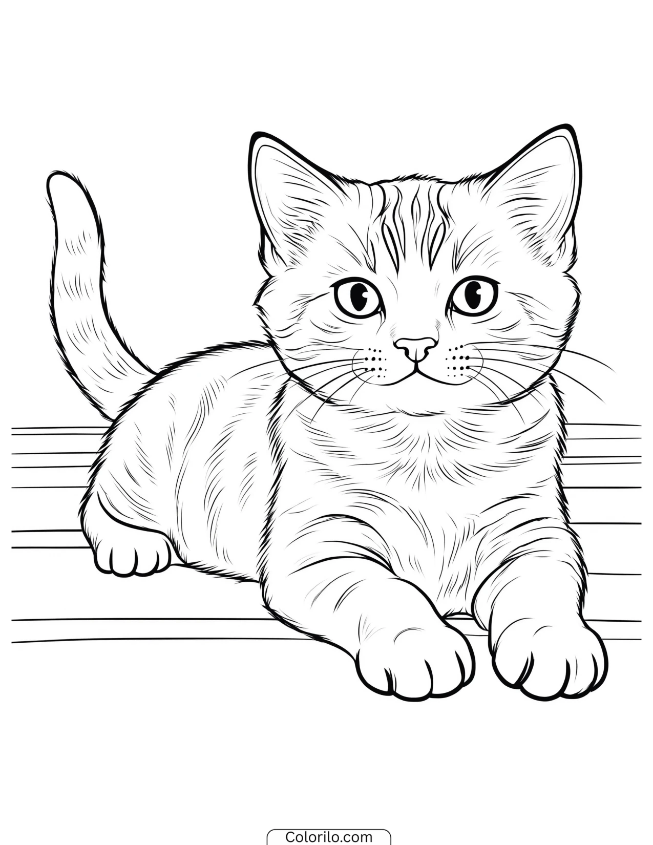 Kitten lying with its paws stretched forward coloring page