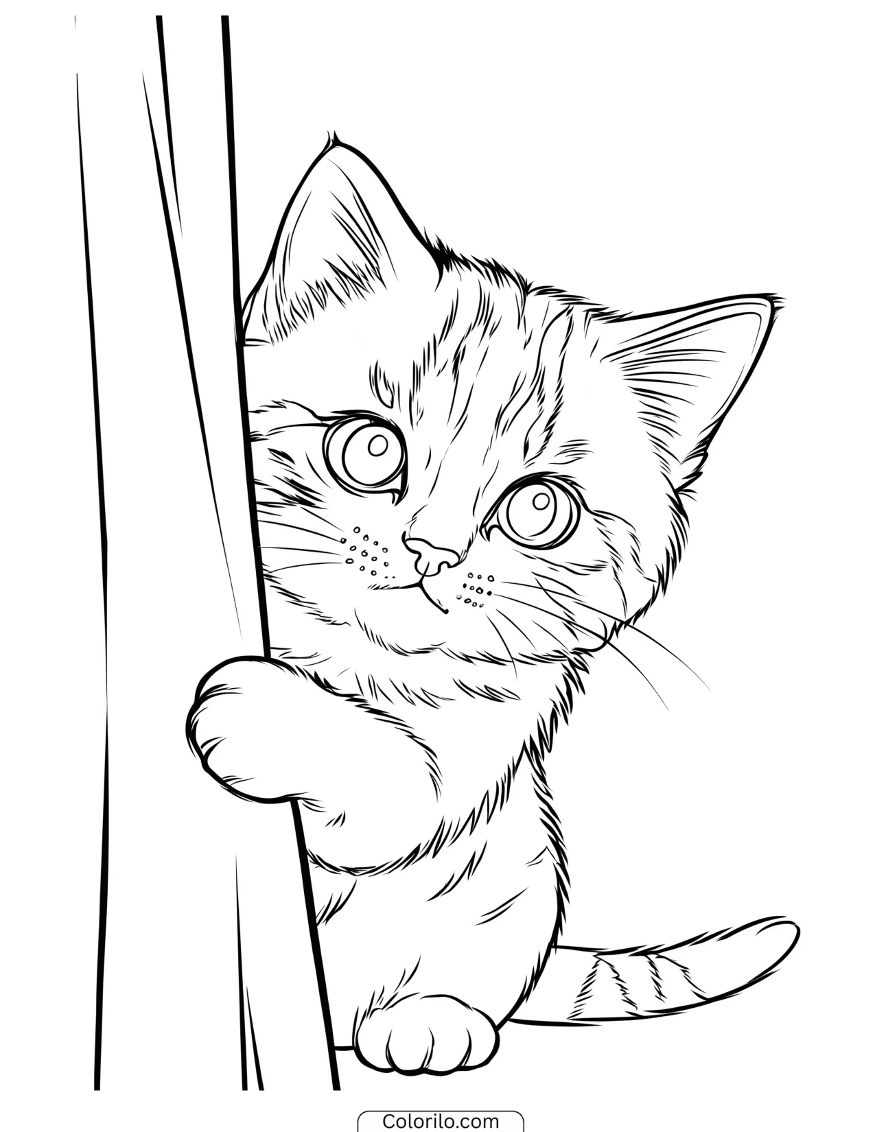 Kitten peeking around a corner coloring page