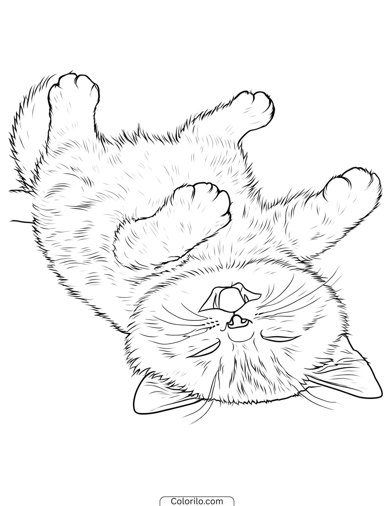 Kitten rolling onto its back coloring page