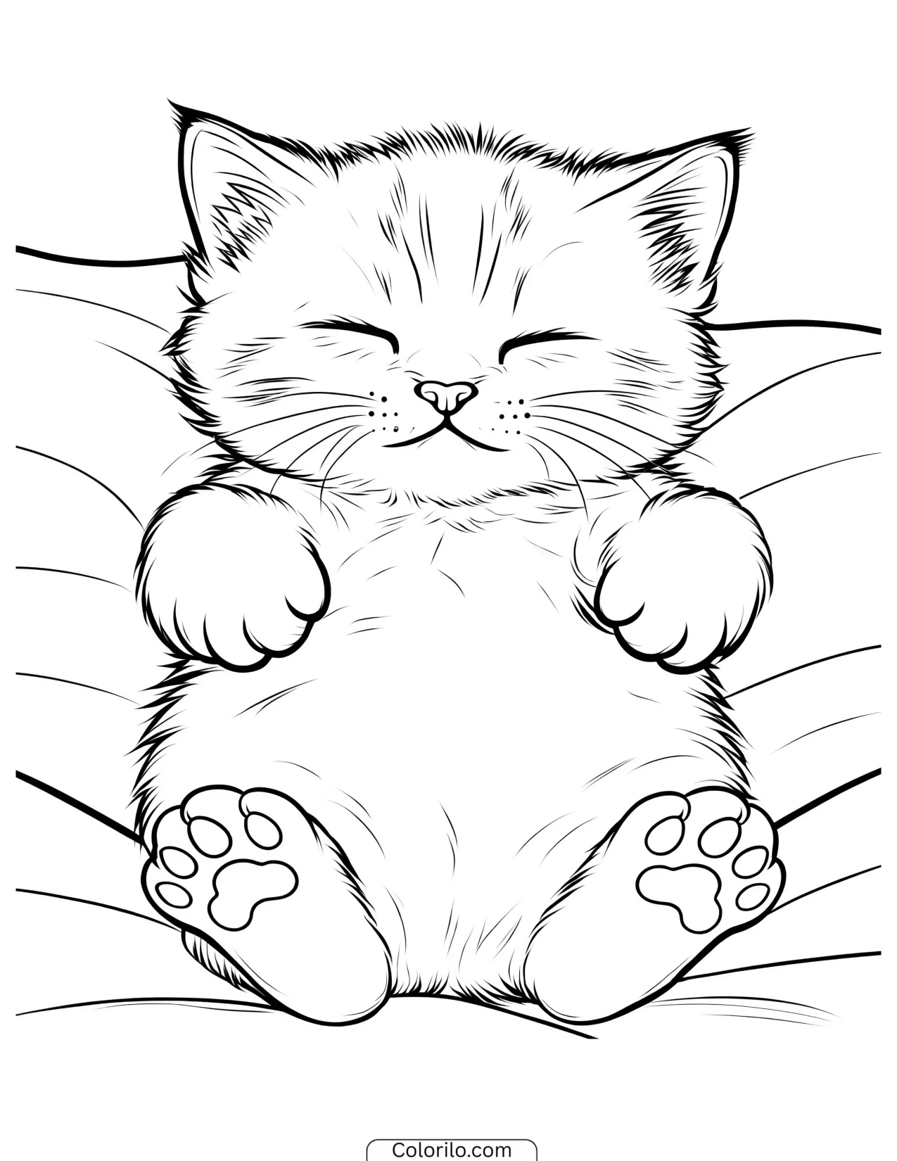 Kitten asleep with its back paws in the air coloring page