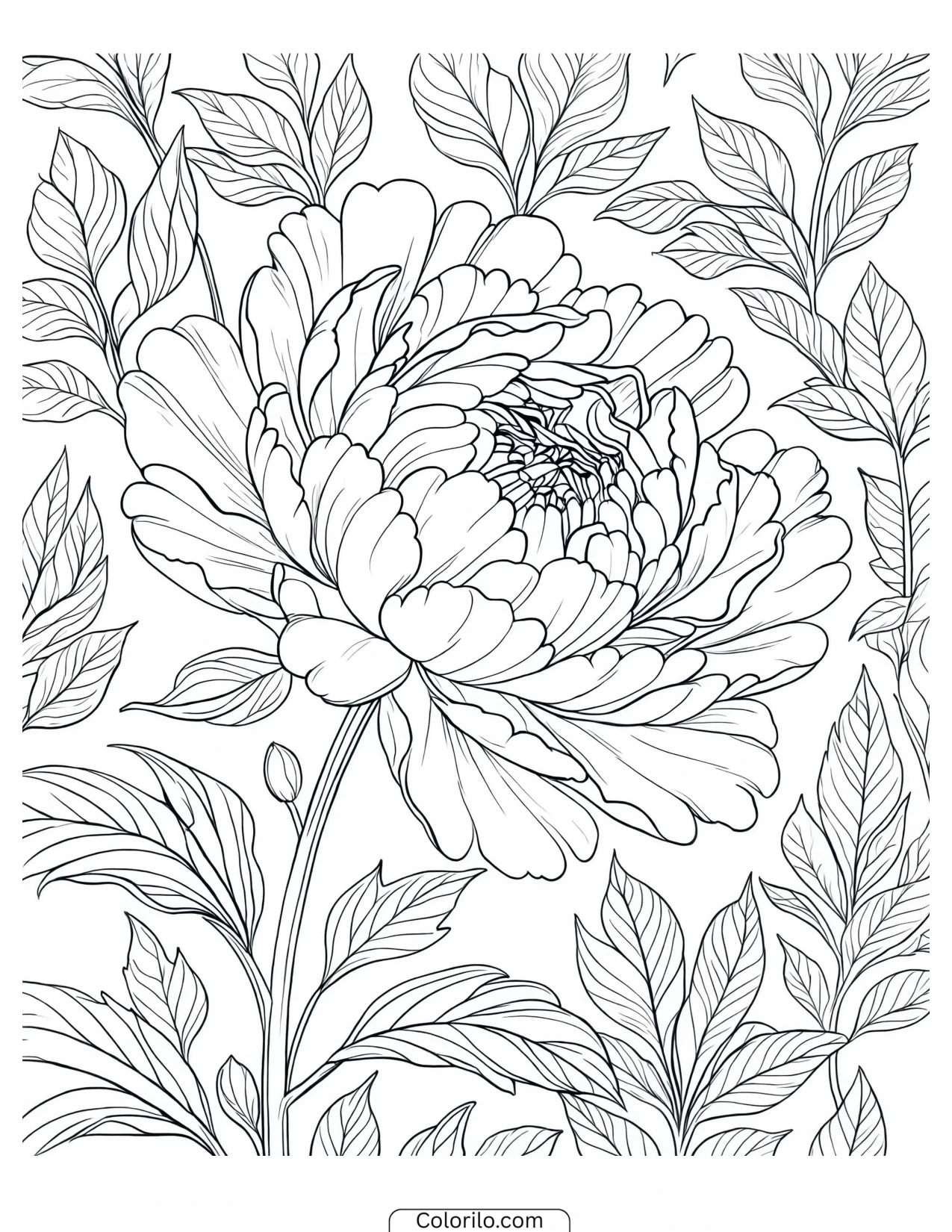 Large peony bloom with surrounding leaves coloring page