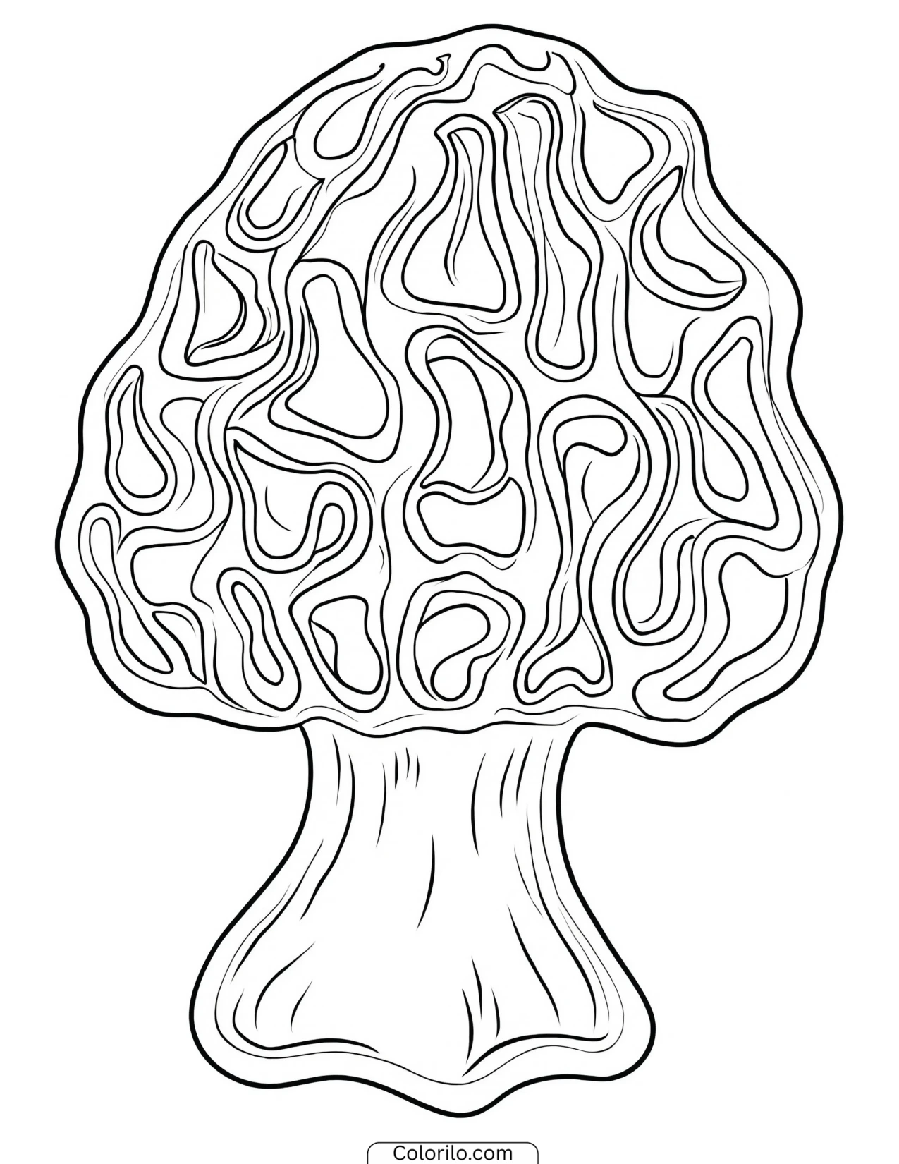 Morel mushroom drawn in simple outline coloring page