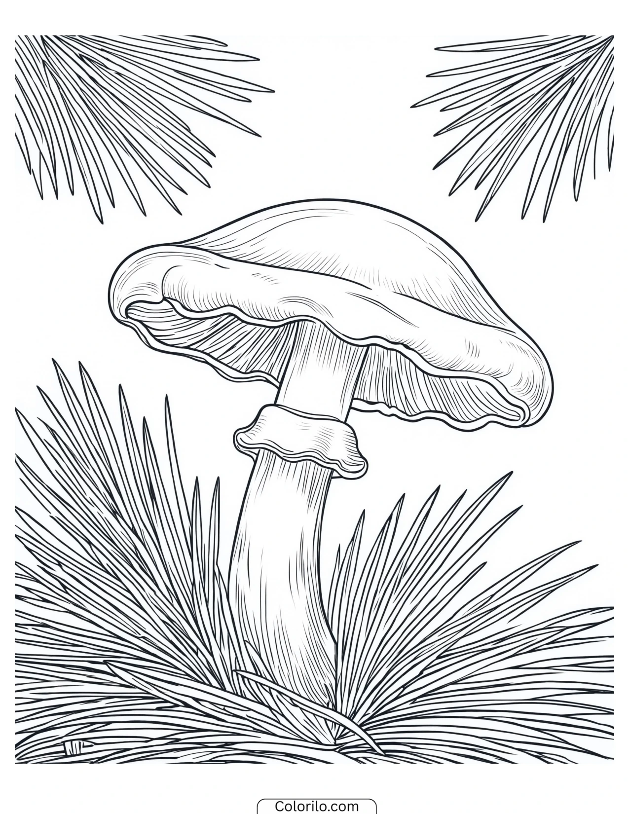 Mushroom pushing up through pine needles coloring page