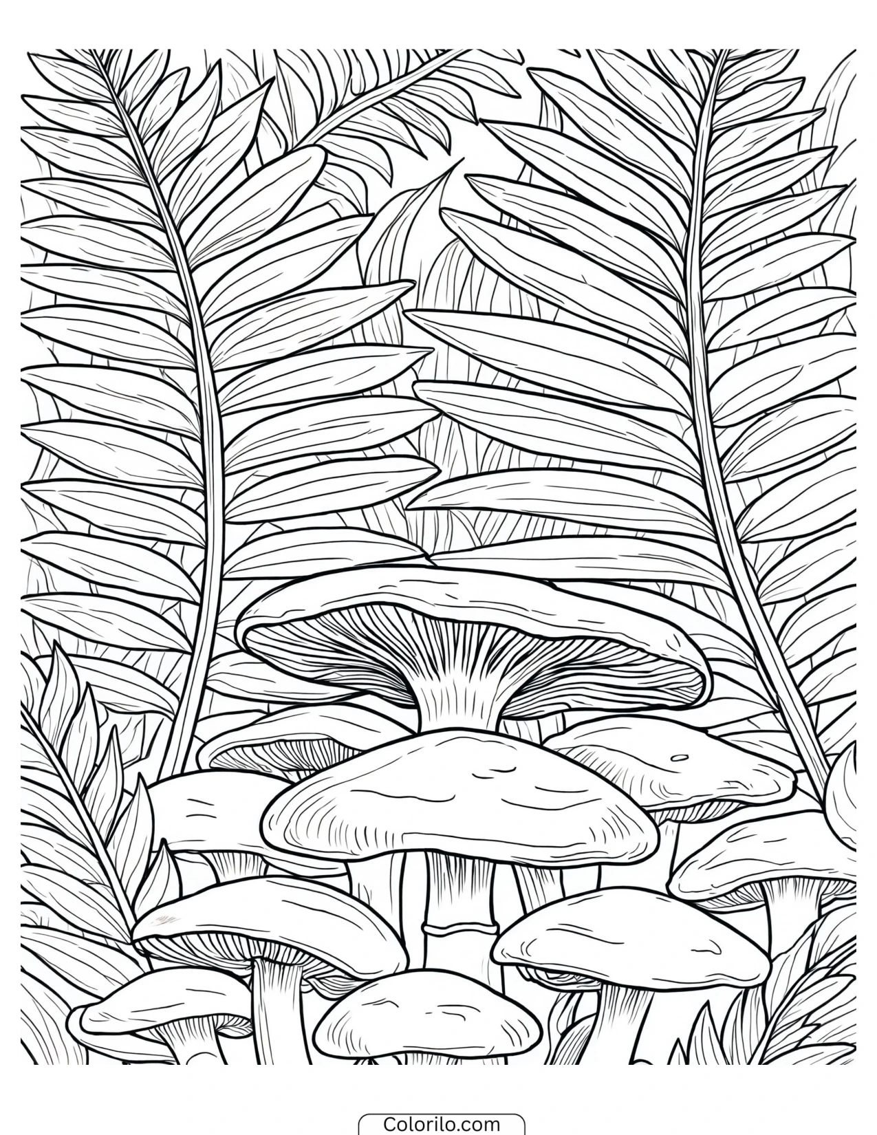 Mushroom cluster growing among fern fronds coloring page