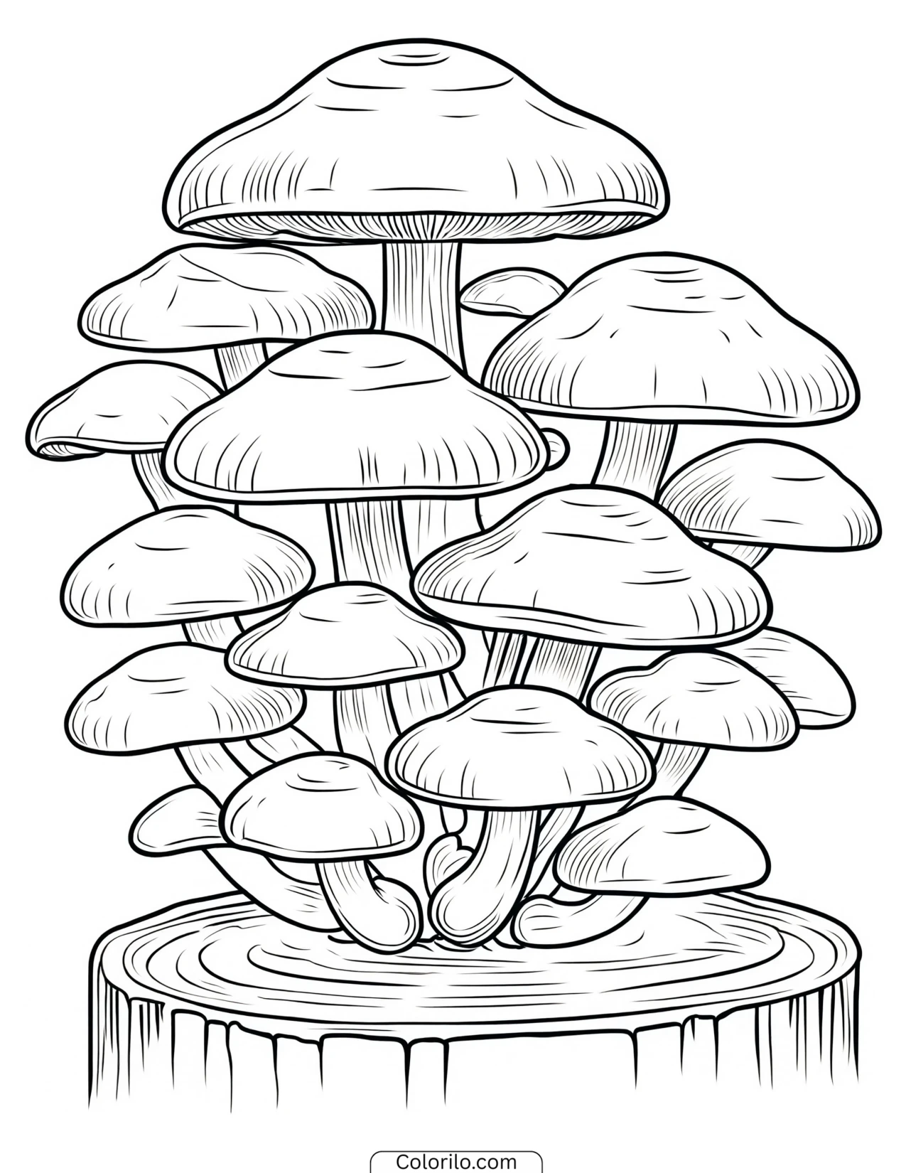 Mushroom cluster growing on a tree stump coloring page