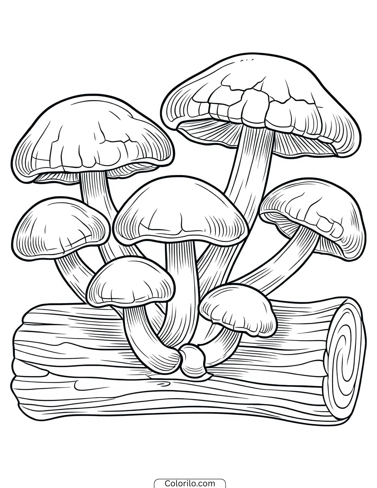Mushrooms growing along a fallen log coloring page