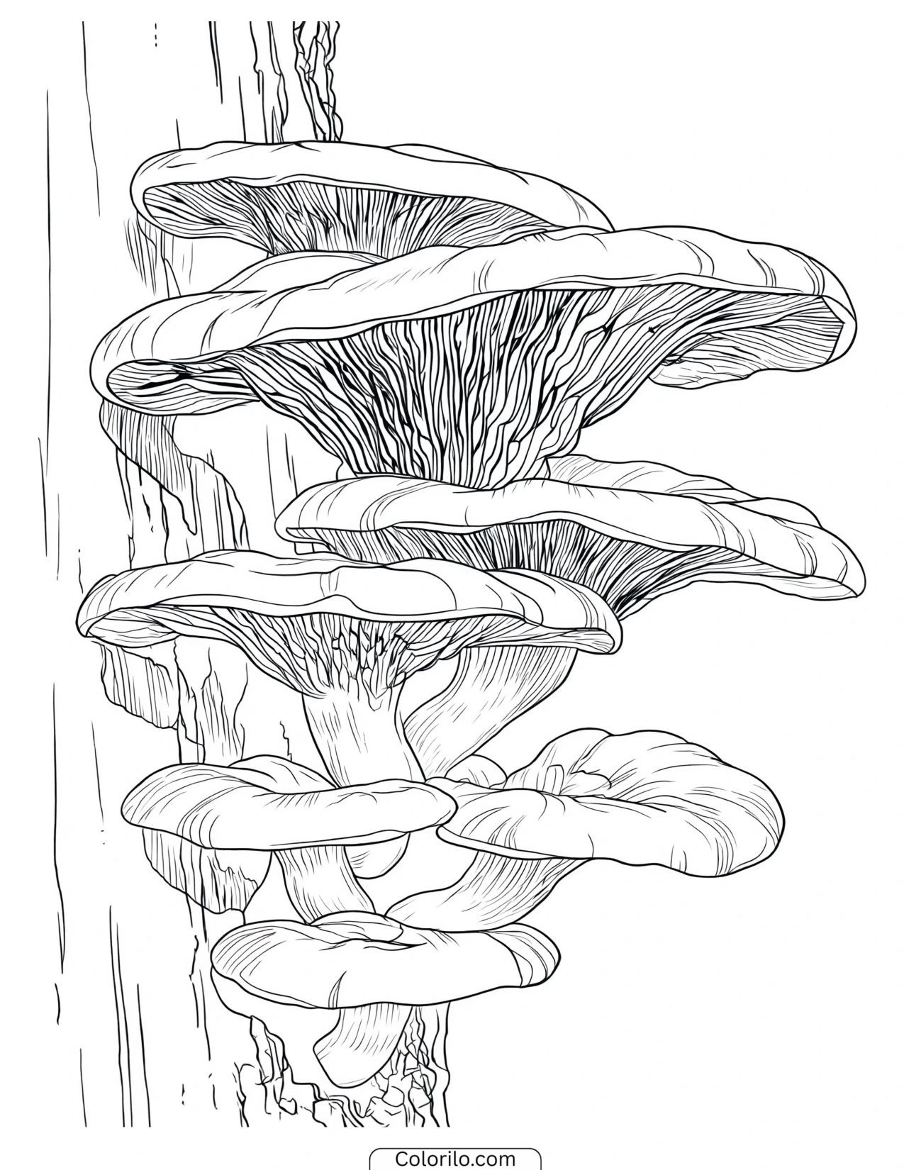 Mushrooms growing up a standing tree trunk coloring page
