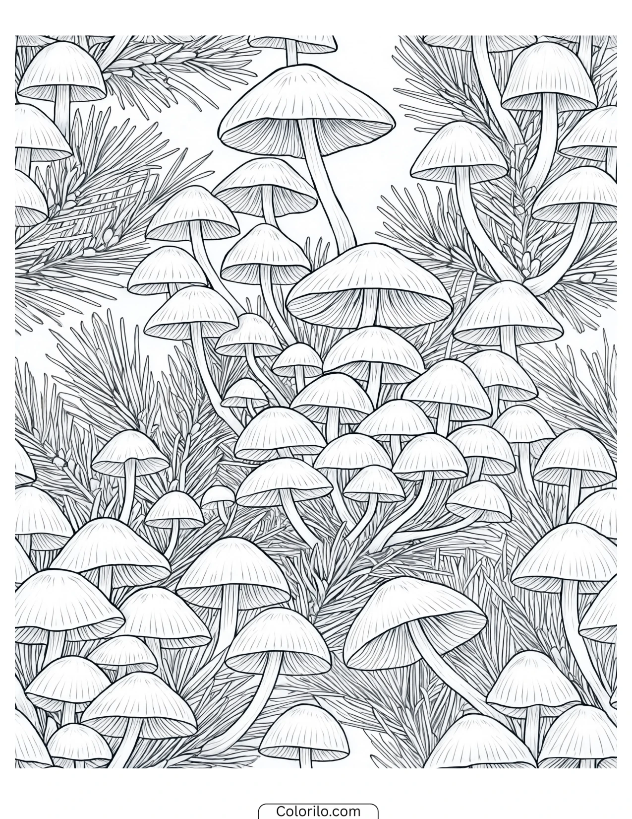 Mushrooms surrounded by scattered pine needles coloring page