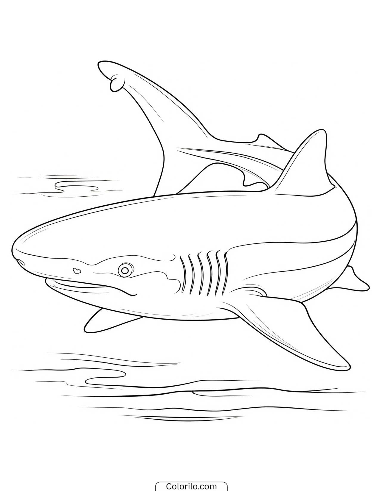 Shark swimming with its mouth open coloring page