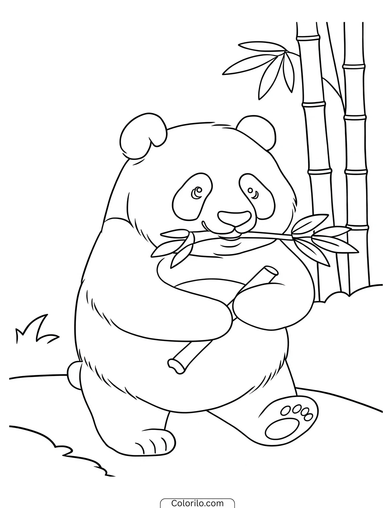 Panda walking along eating leaves coloring page