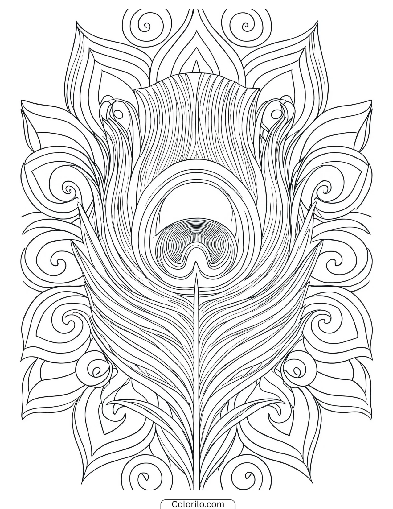 Panel design of peacock feather eyes coloring page