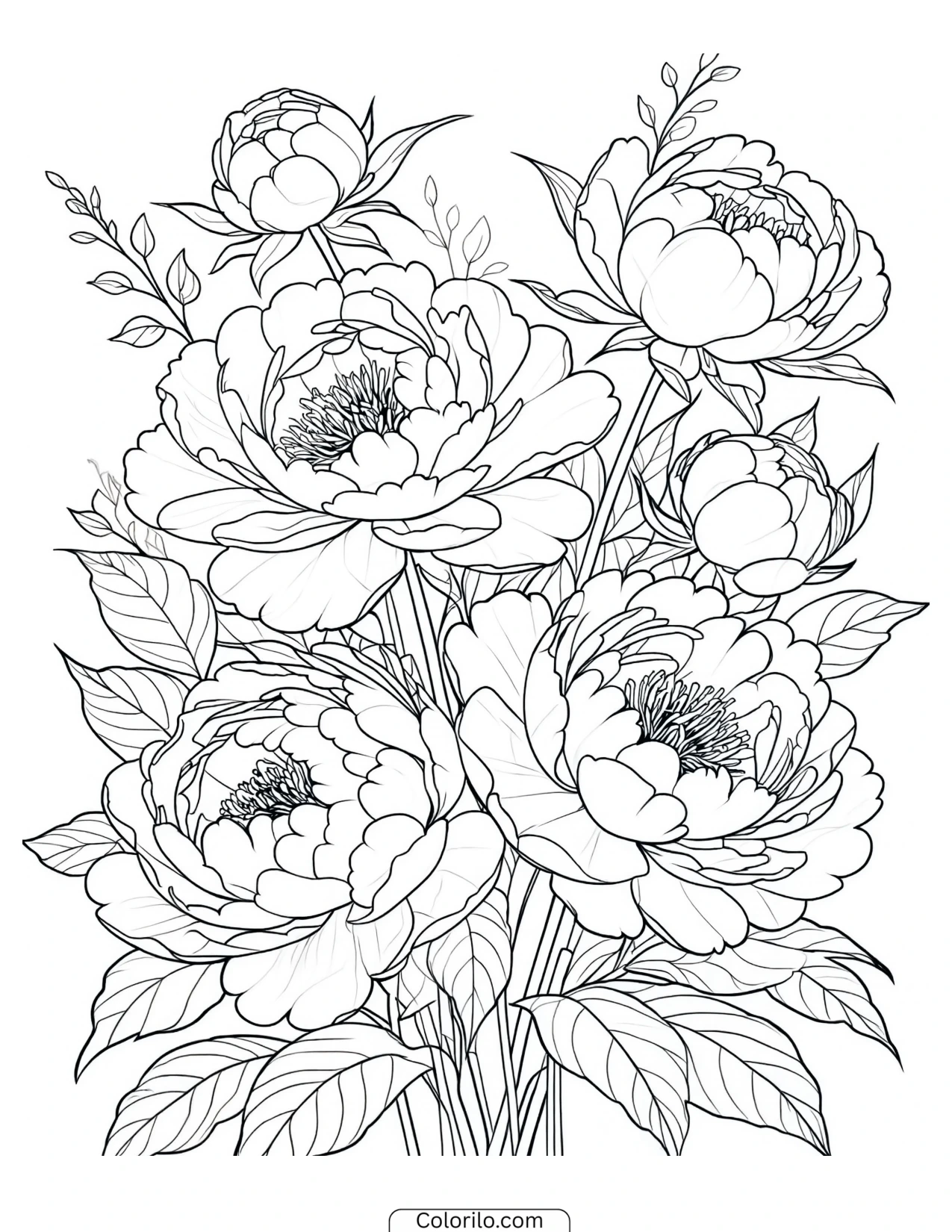 Floral arrangement centred on peonies coloring page