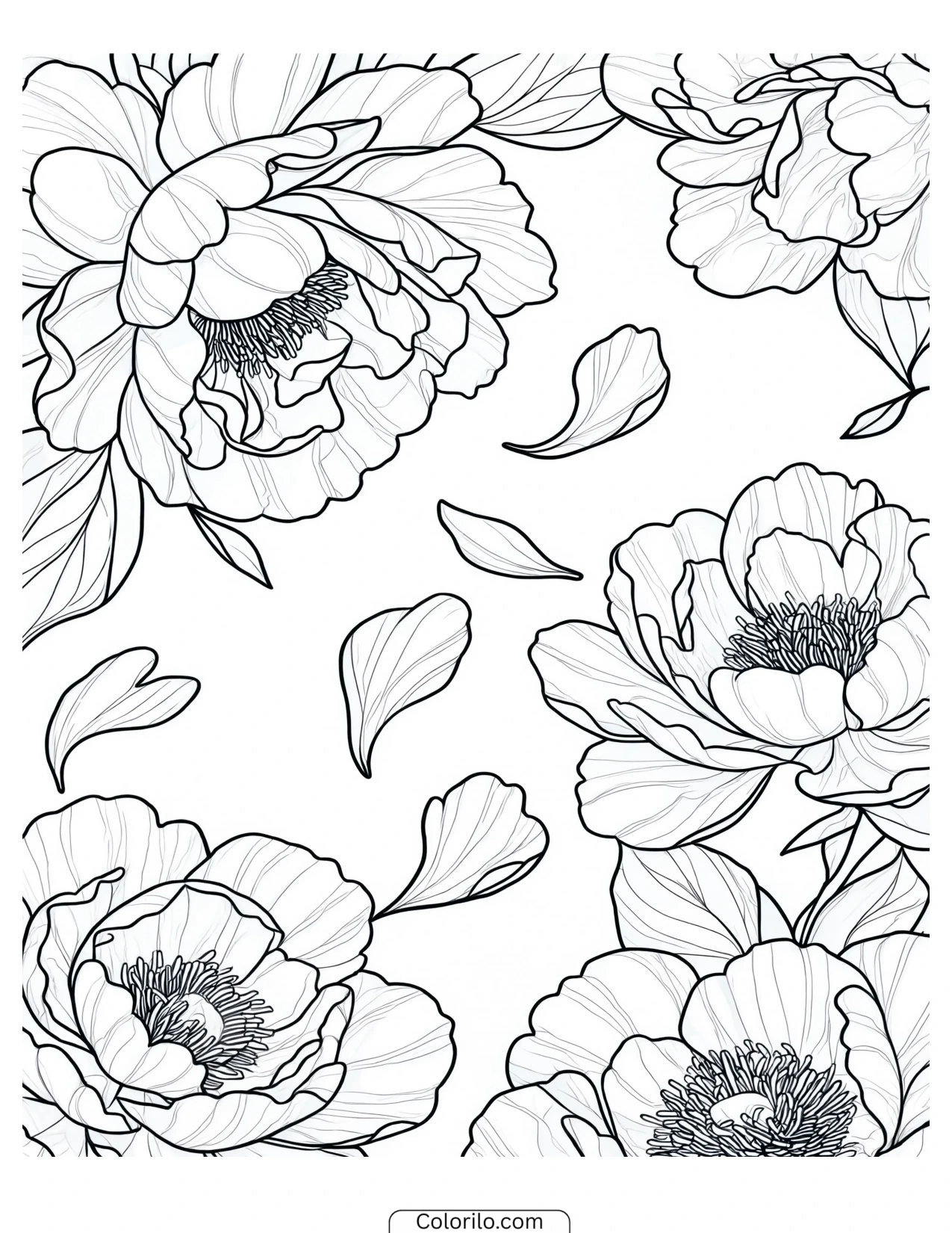 Peony with petals falling from the bloom coloring page