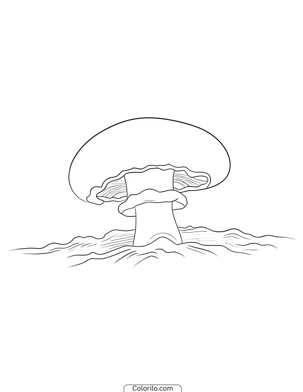 Mushroom with a sharply pointed cap coloring page