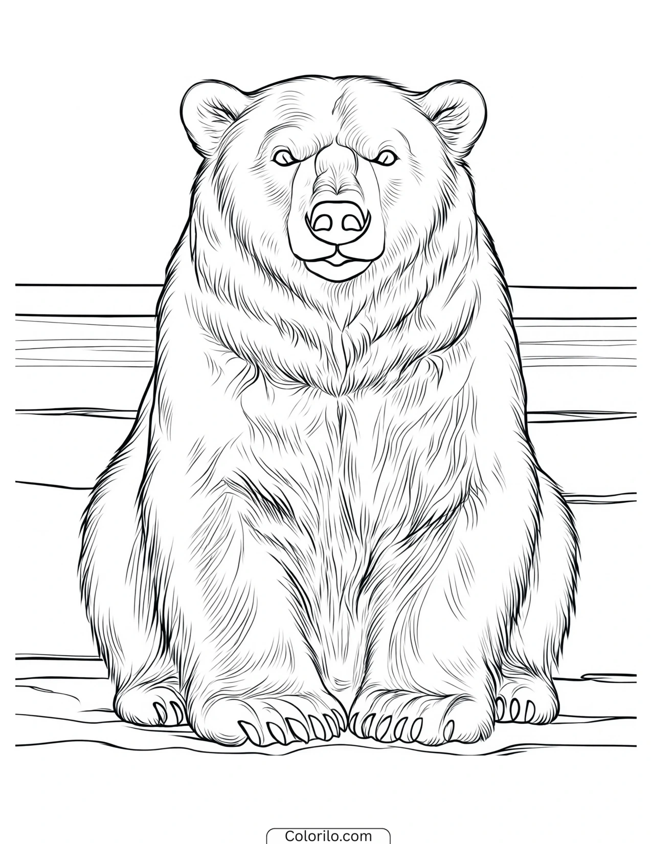 Polar bear sitting and facing forward coloring page
