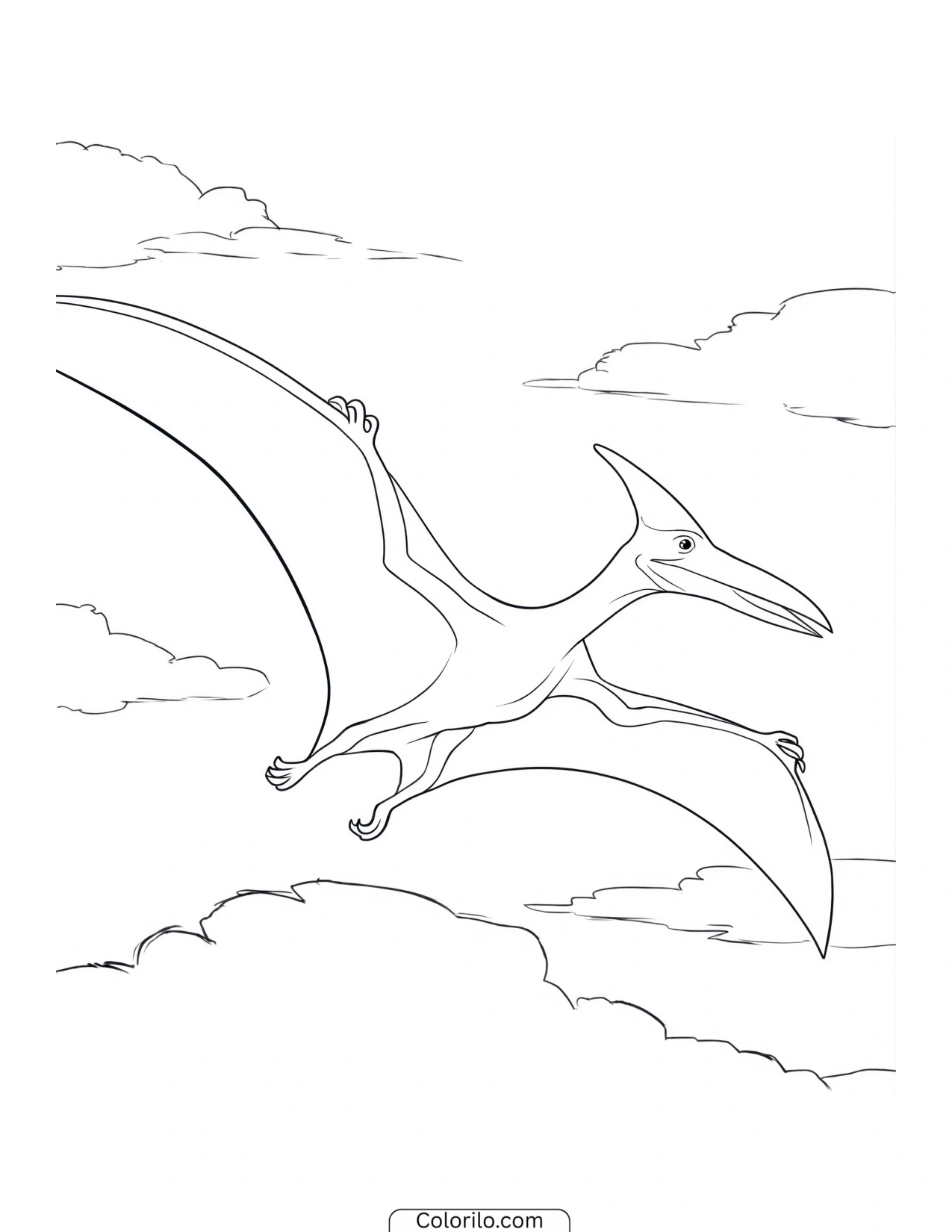 Pterodactyl flying through the clouds coloring page