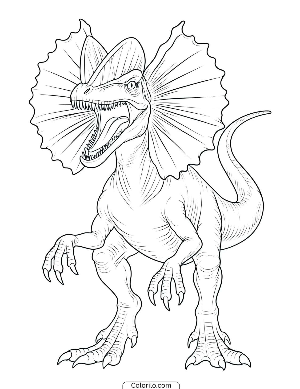 Roaring Dilophosaurus with its neck frill spread coloring page