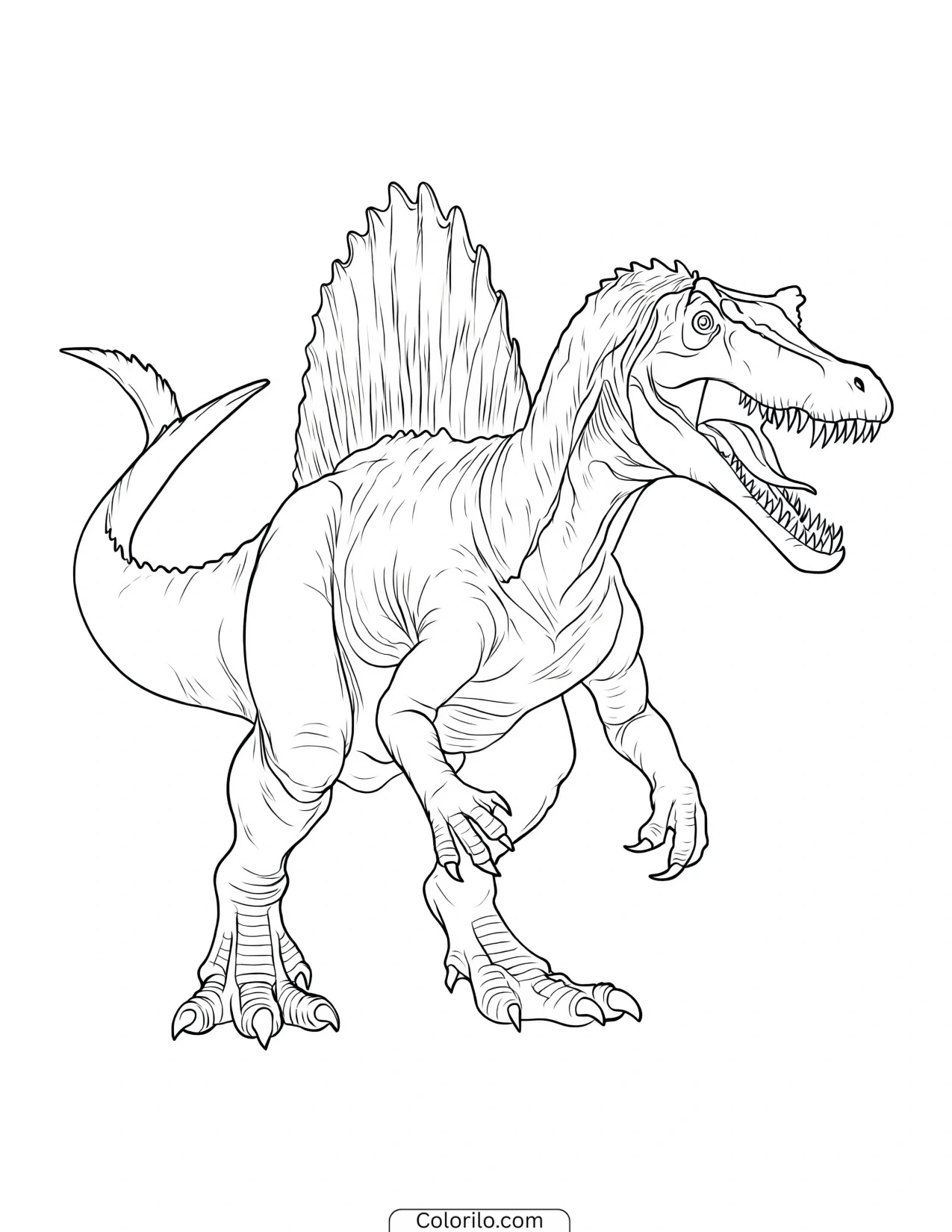 Roaring Spinosaurus with its claws raised coloring page