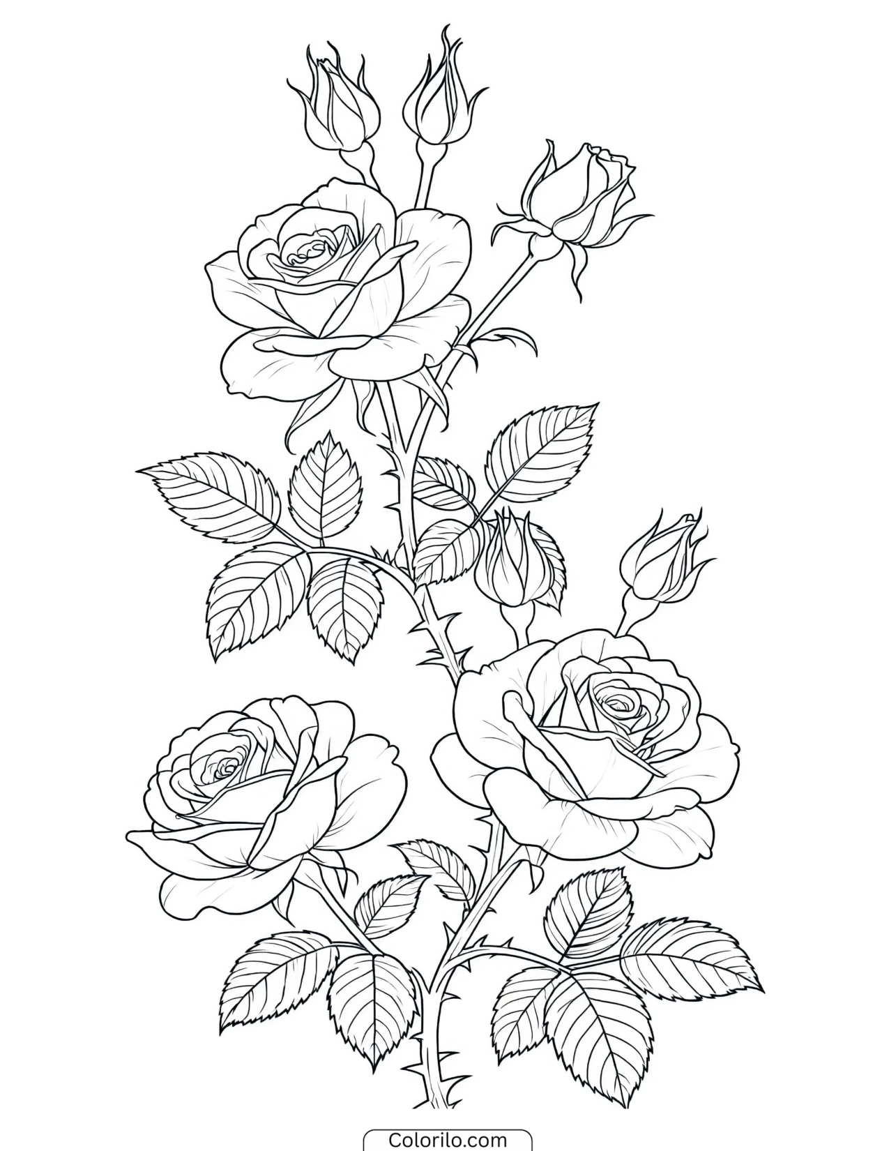 Rose stem with an open bloom and buds coloring page