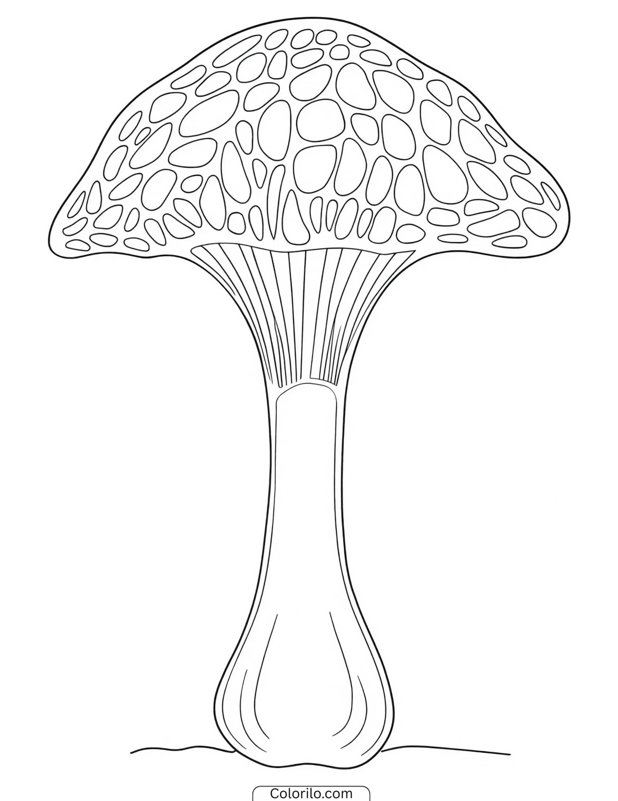 Small rounded button mushroom coloring page