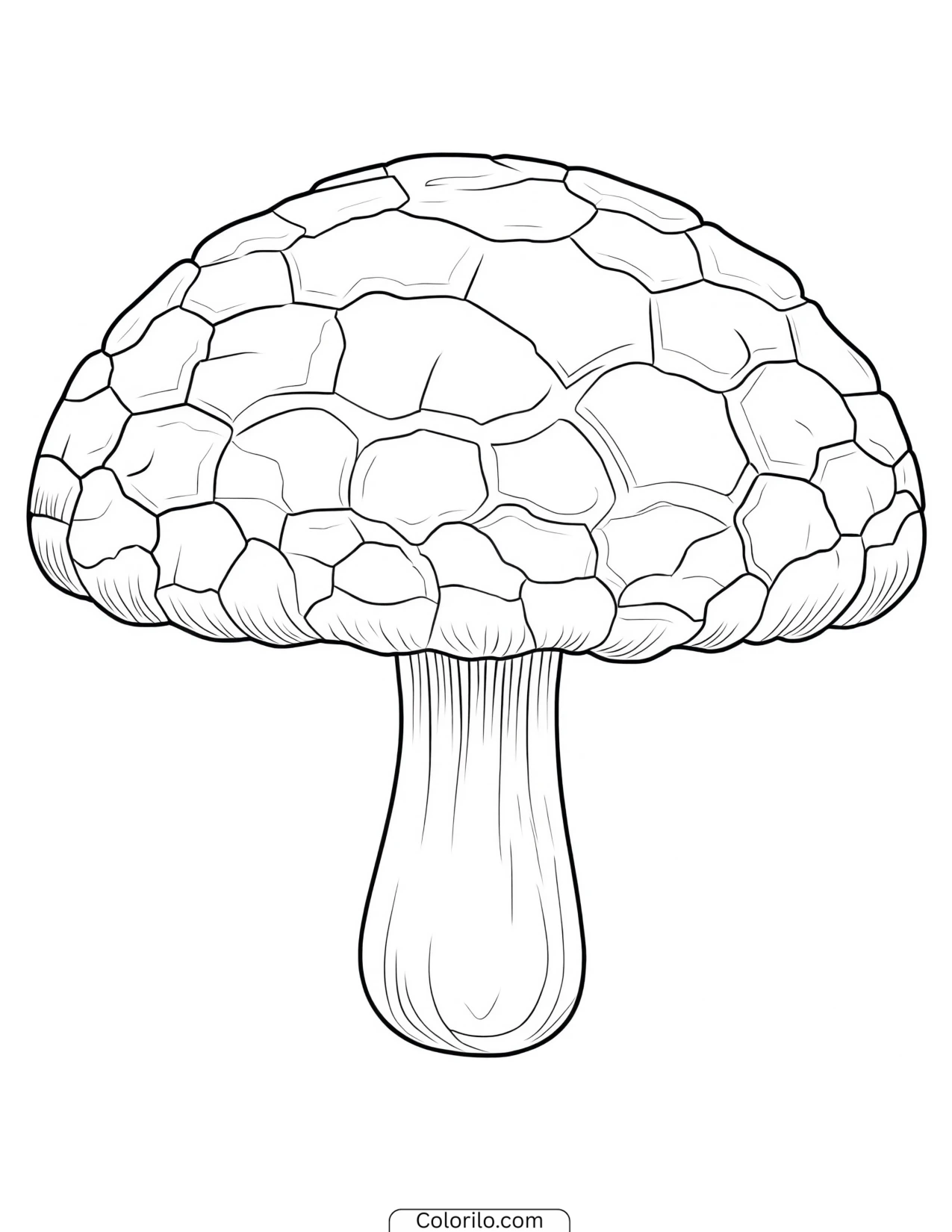 Toadstool with a smoothly rounded cap coloring page
