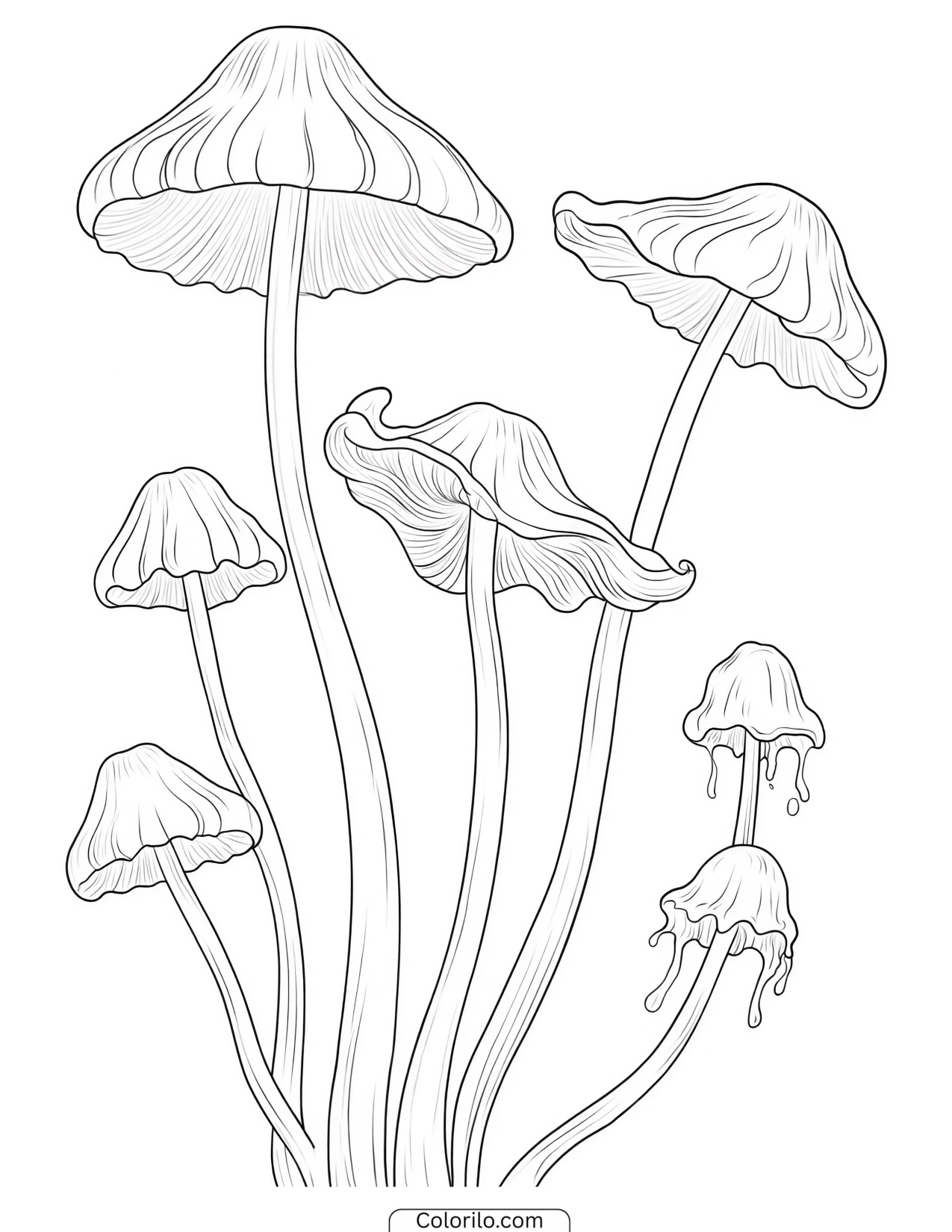 Mushroom with a low rounded dome cap coloring page