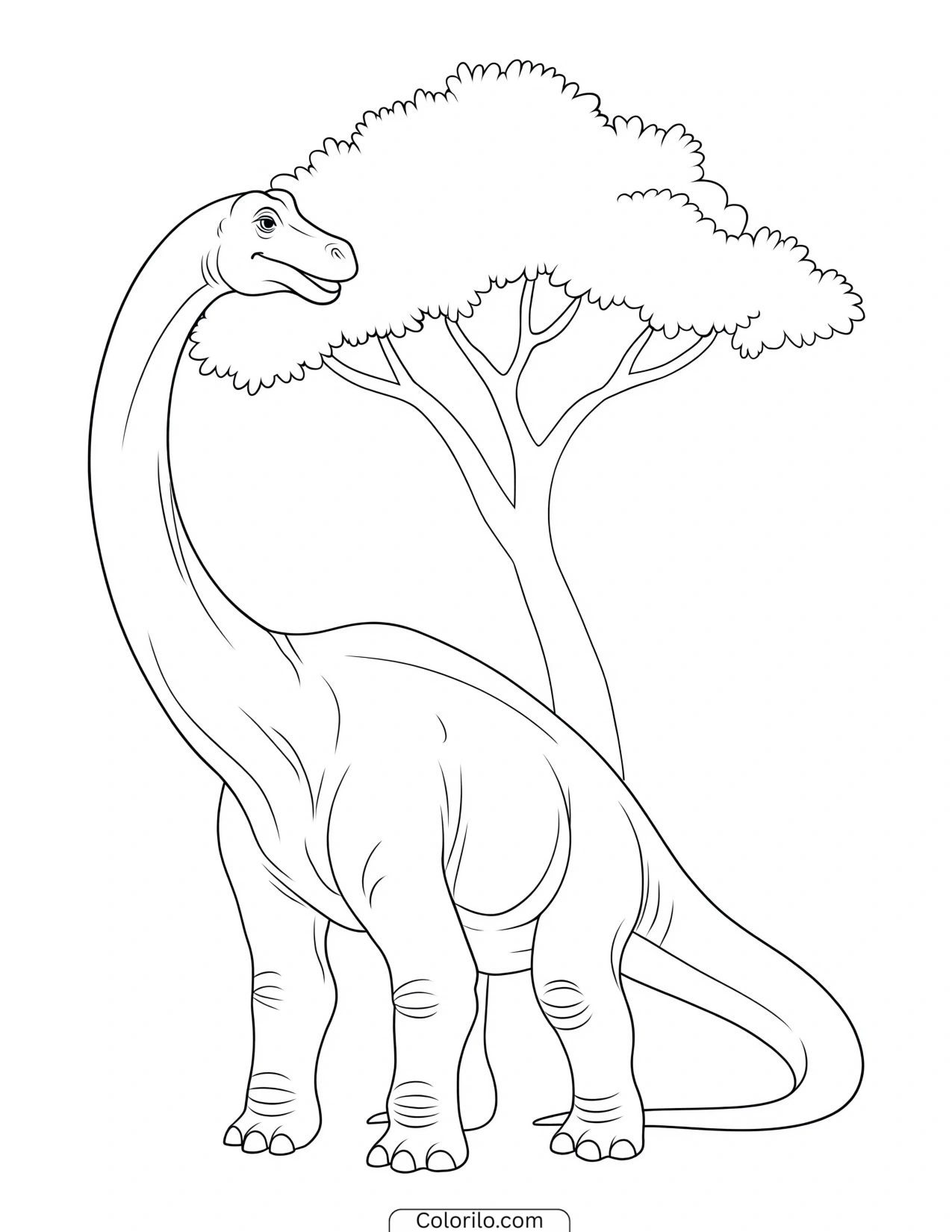 Sauropod stretching up to eat leaves from a tree coloring page