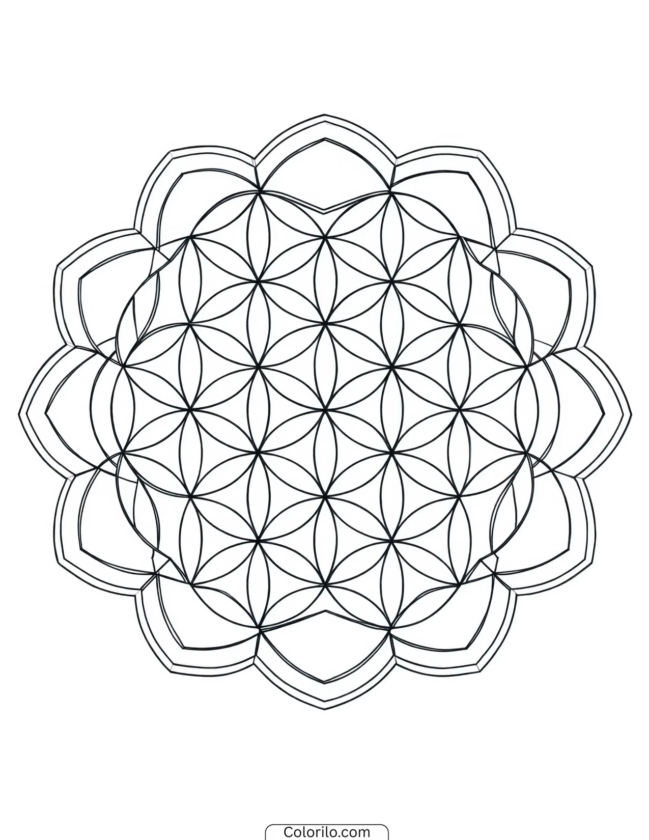 Flower of Life mandala with scalloped edges coloring page