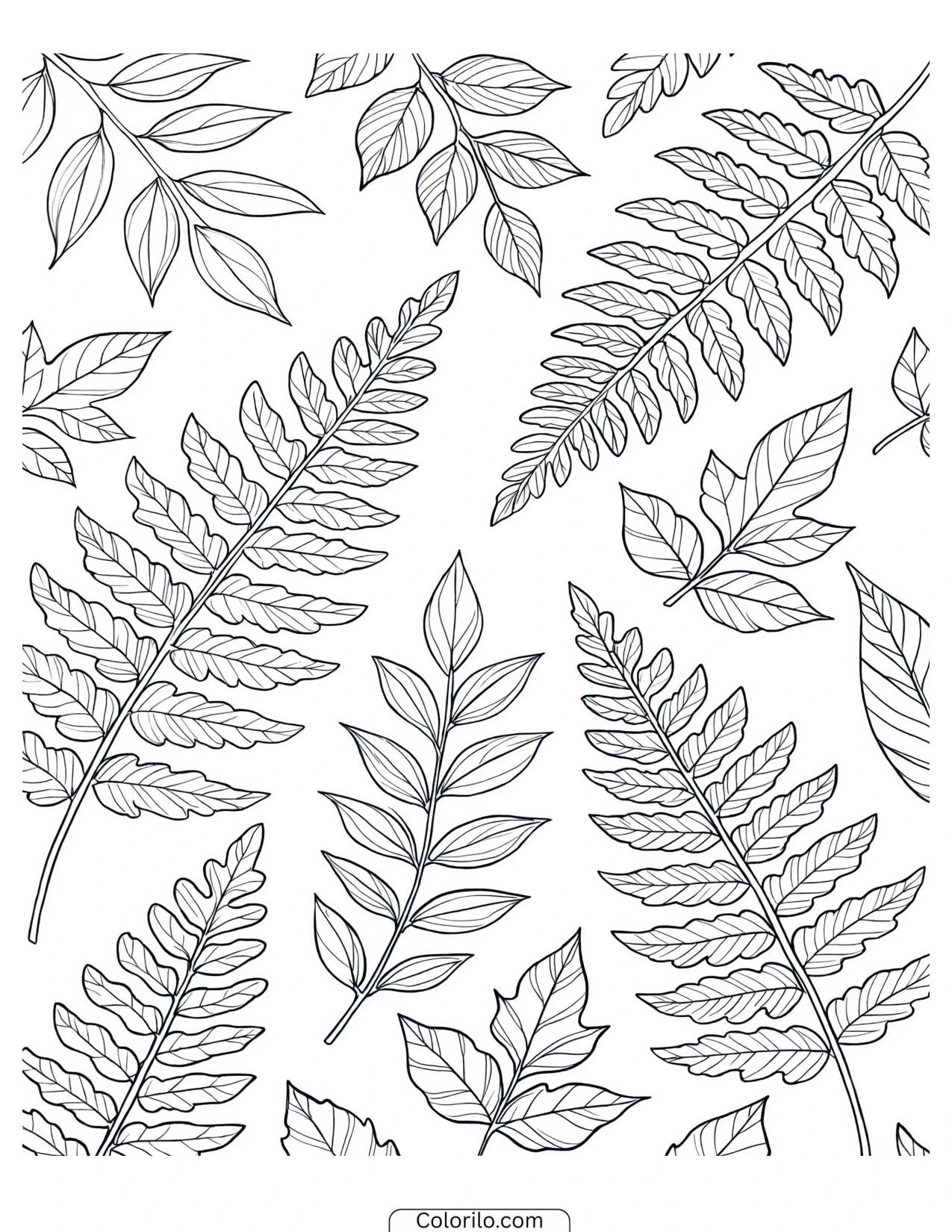 Fern fronds scattered across the page coloring page