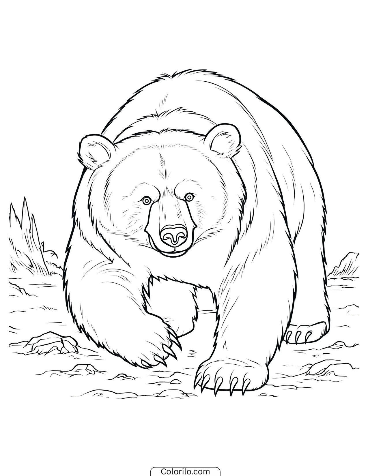 Bear walking forward with a serious expression coloring page