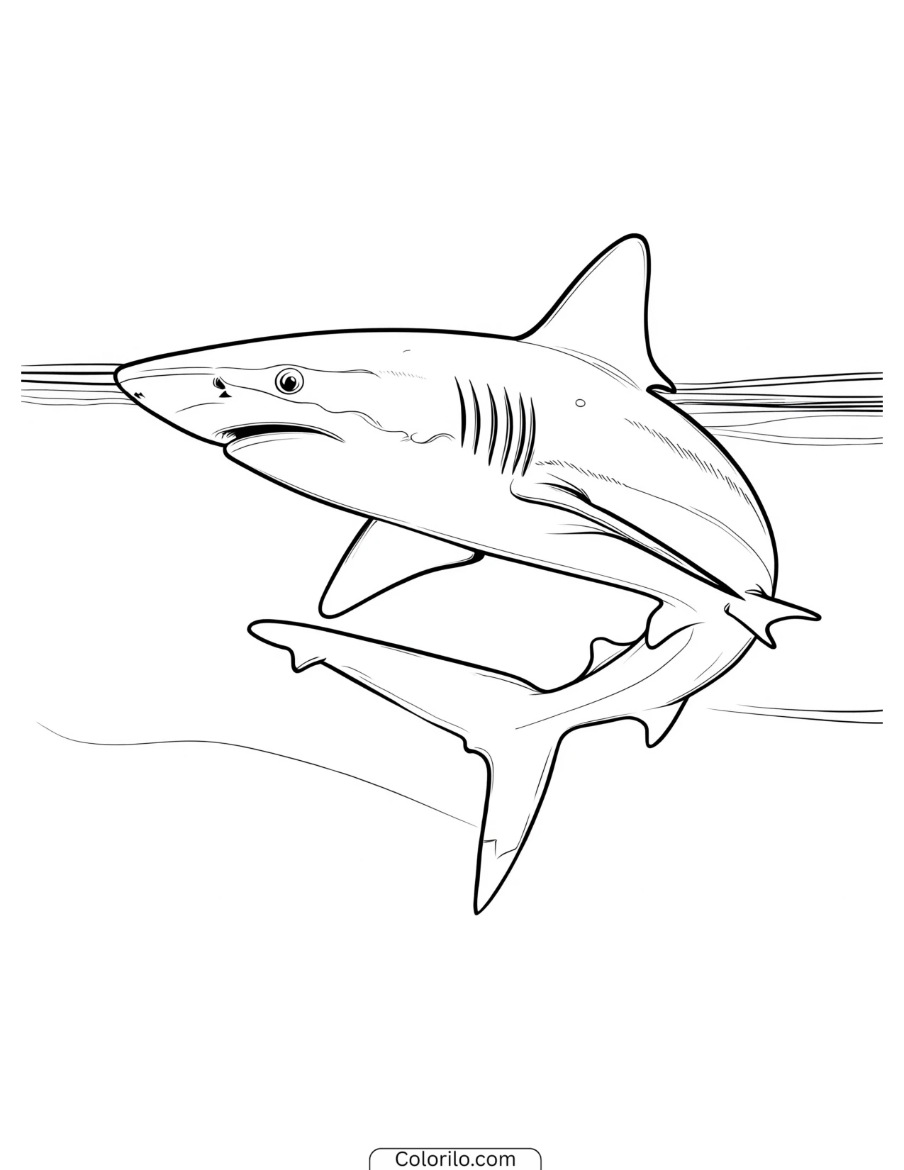 Shark breaching up out of the water coloring page