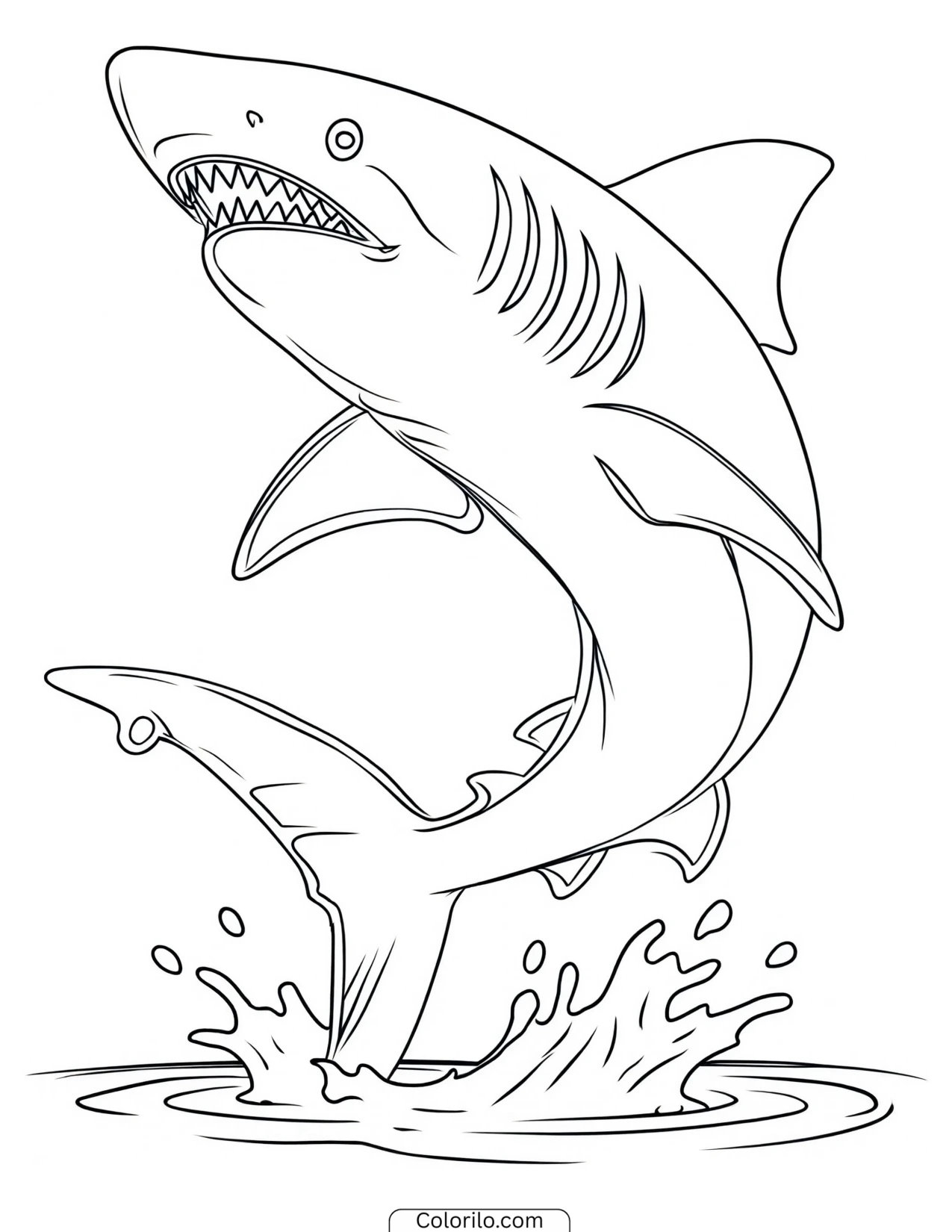 Shark drifting slowly through the water coloring page