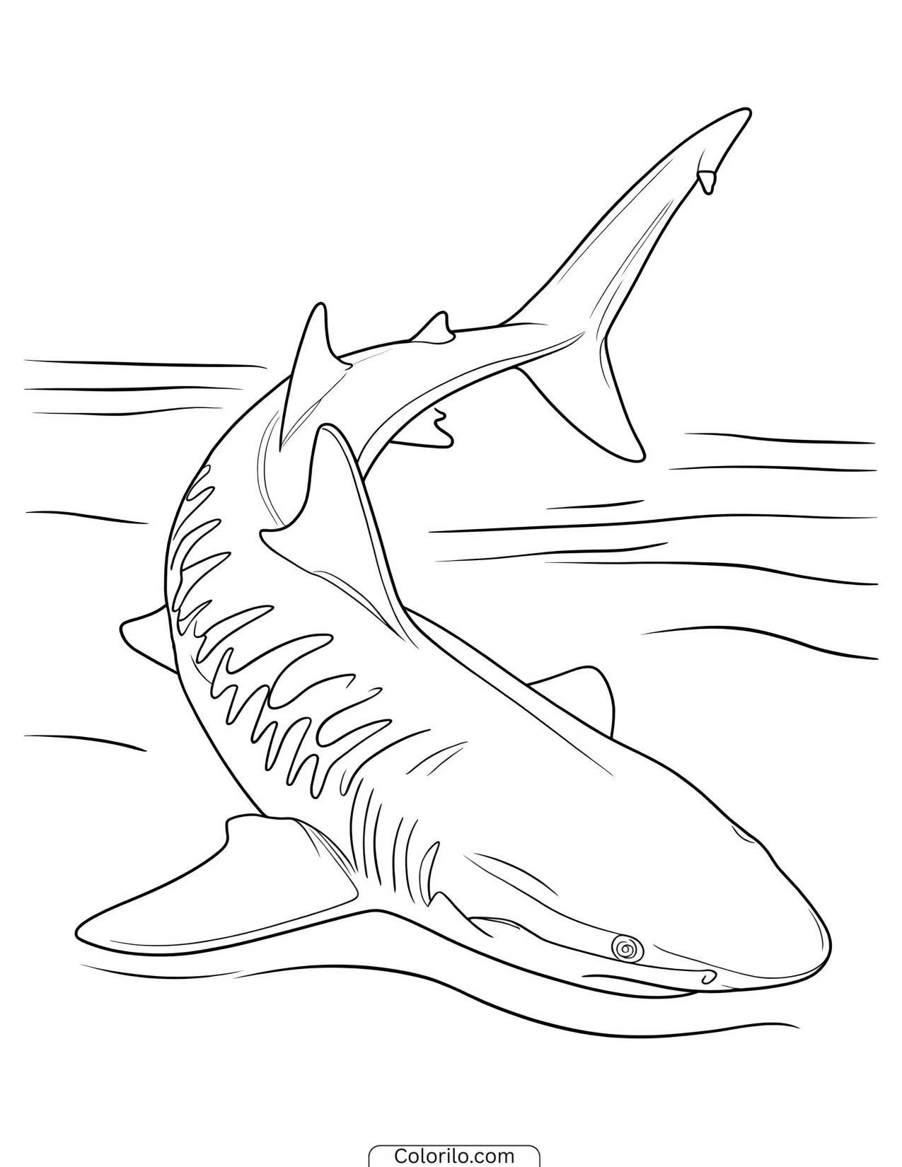Shark swimming through wavy water coloring page