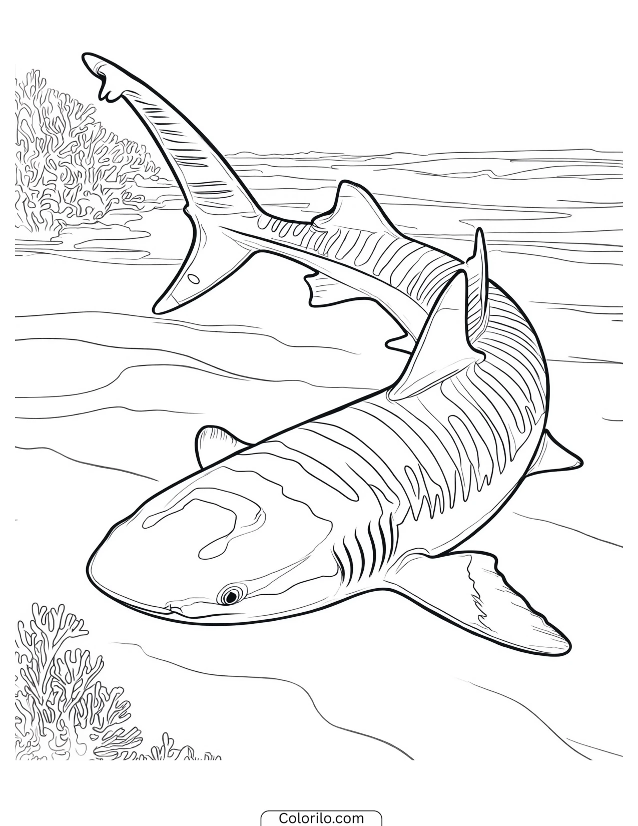 Shark jumping clear out of the water coloring page