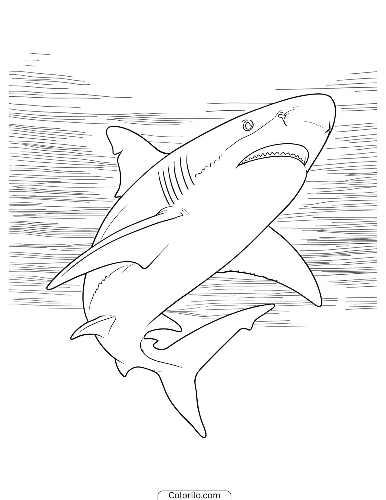 Shark leaping above a splash of water coloring page