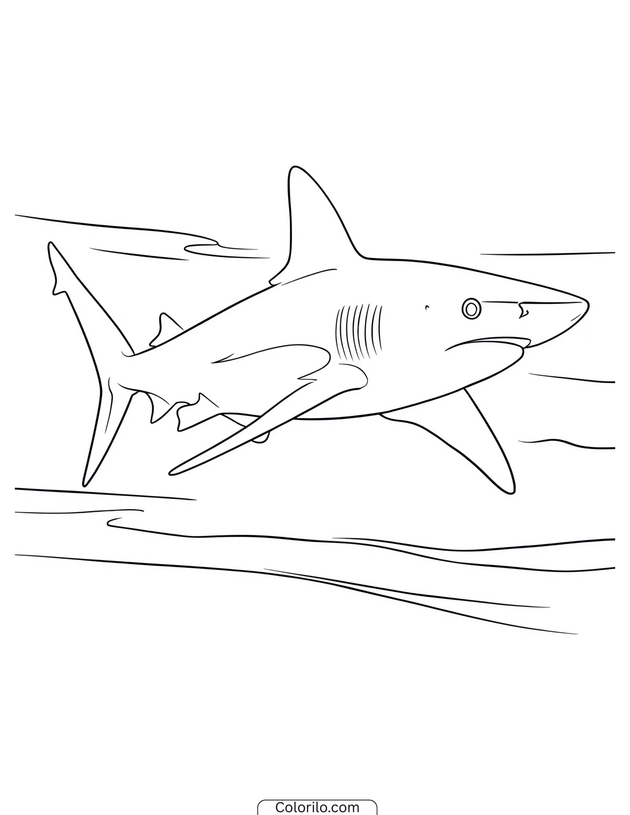 Shark swimming near aquatic plants coloring page