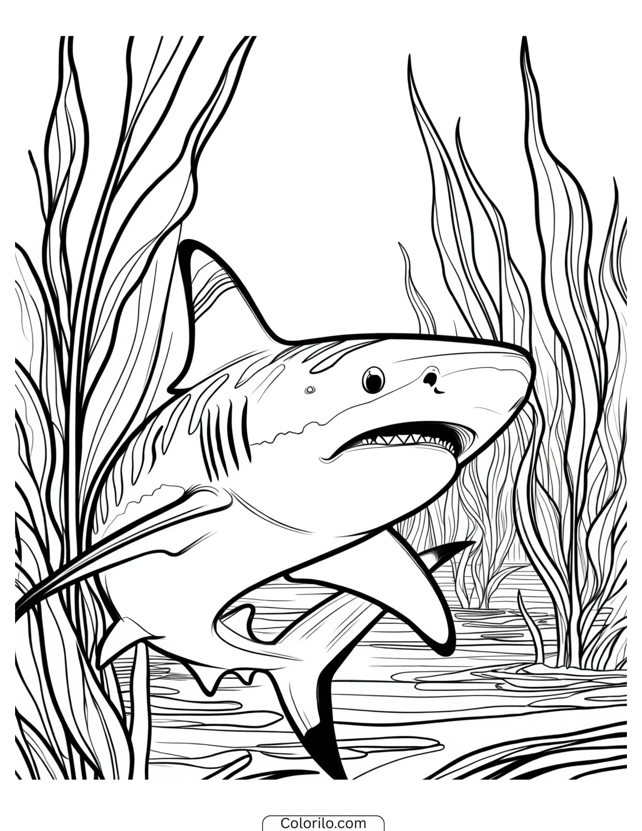 Shark above rippling wavy water coloring page