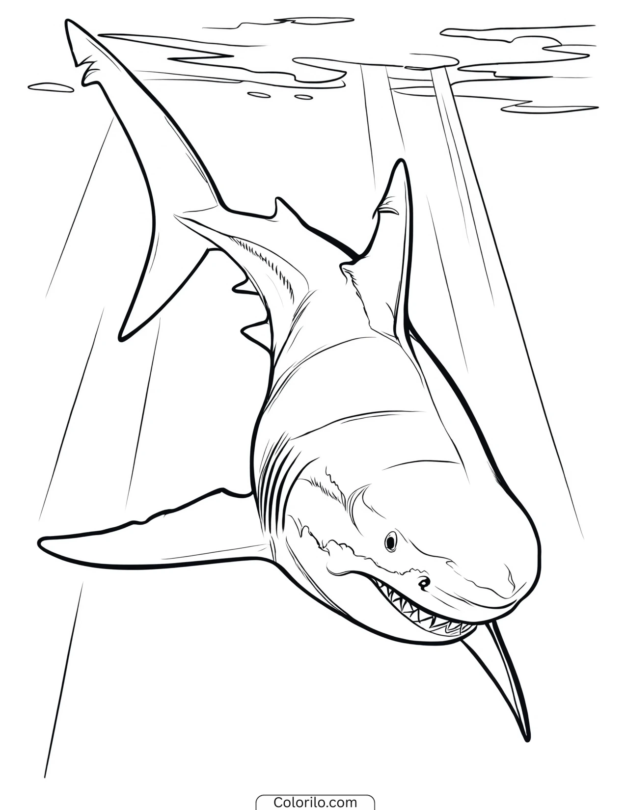 Shark skimming low along the ocean floor coloring page