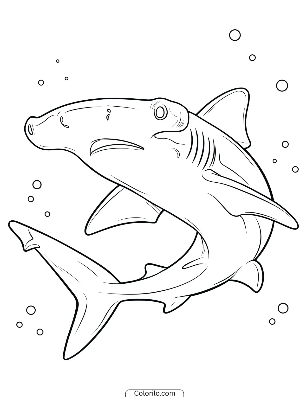 Shark swimming among coral coloring page