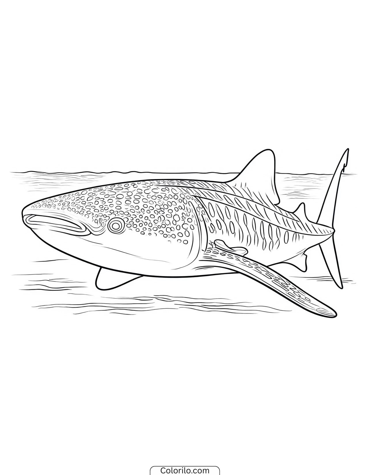 Shark swimming amid rolling waves coloring page