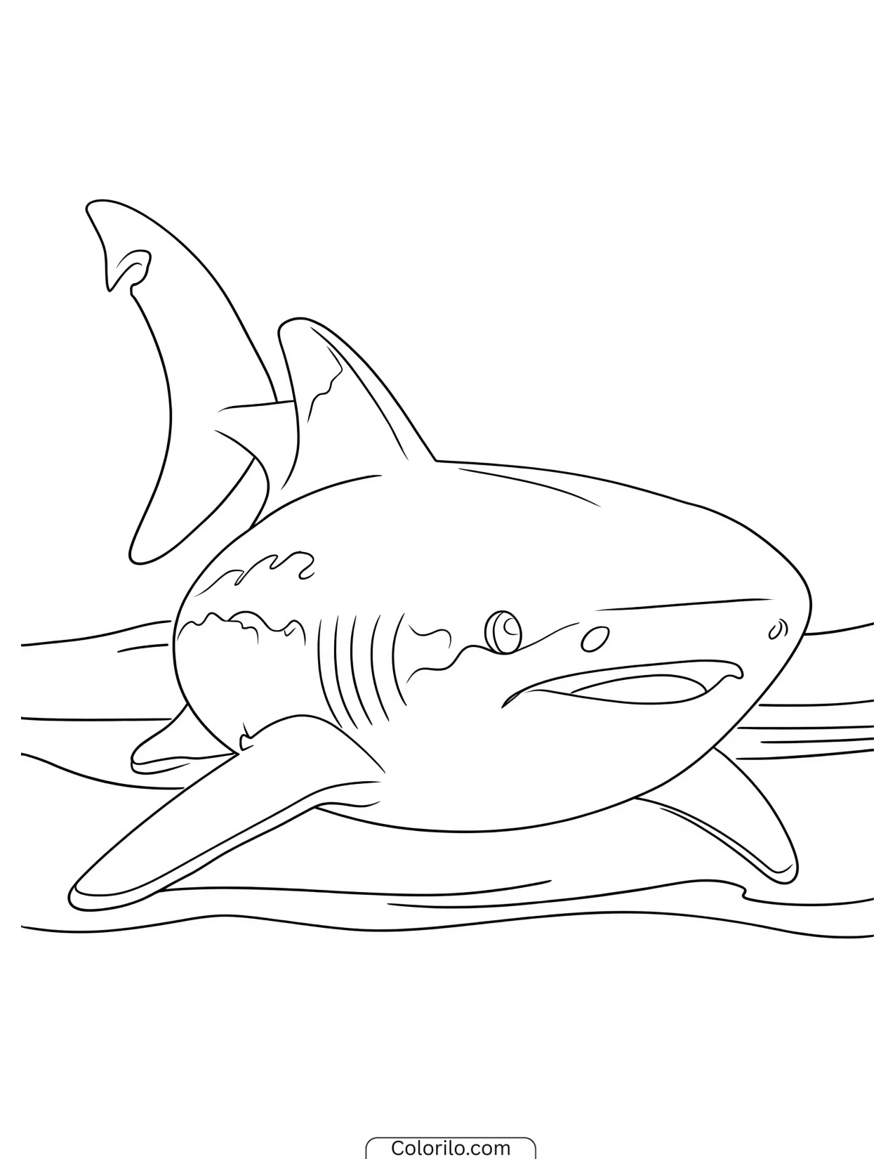 Shark swimming above a bed of rocks coloring page