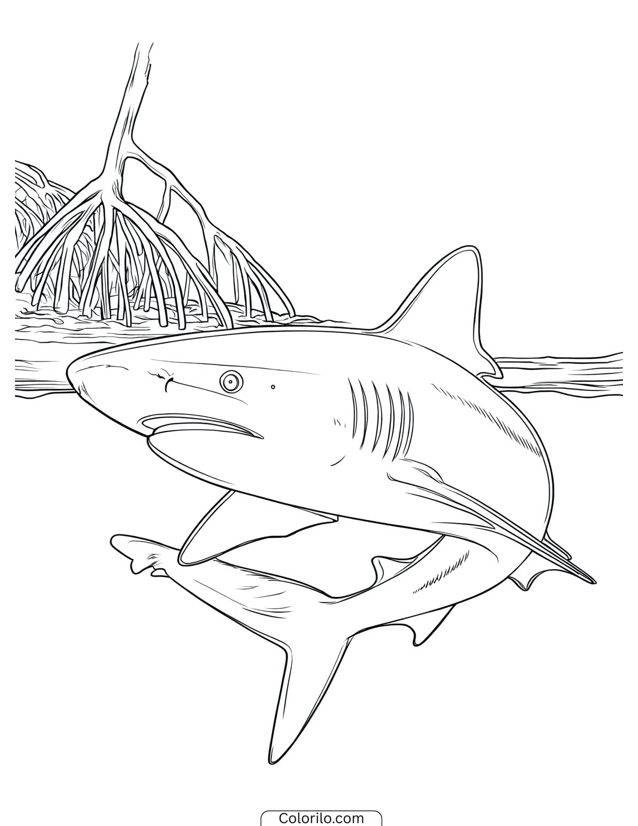 Shark turning mid-swim coloring page