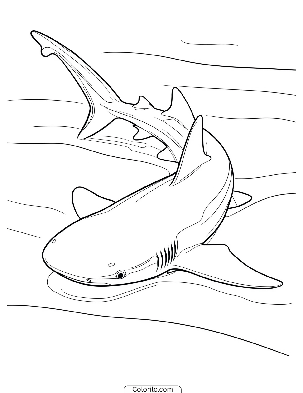 Shark swimming beneath rays of sunlight coloring page