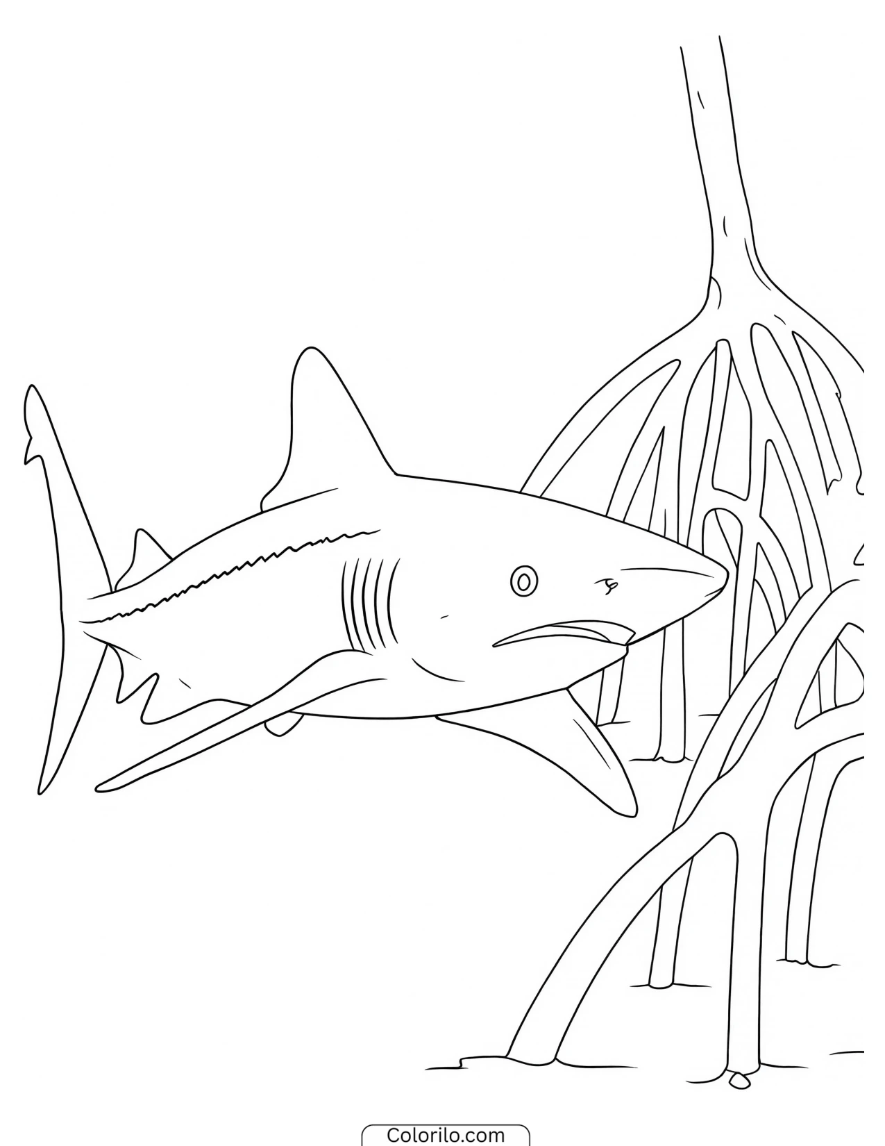 Shark with its mouth open showing rows of teeth coloring page