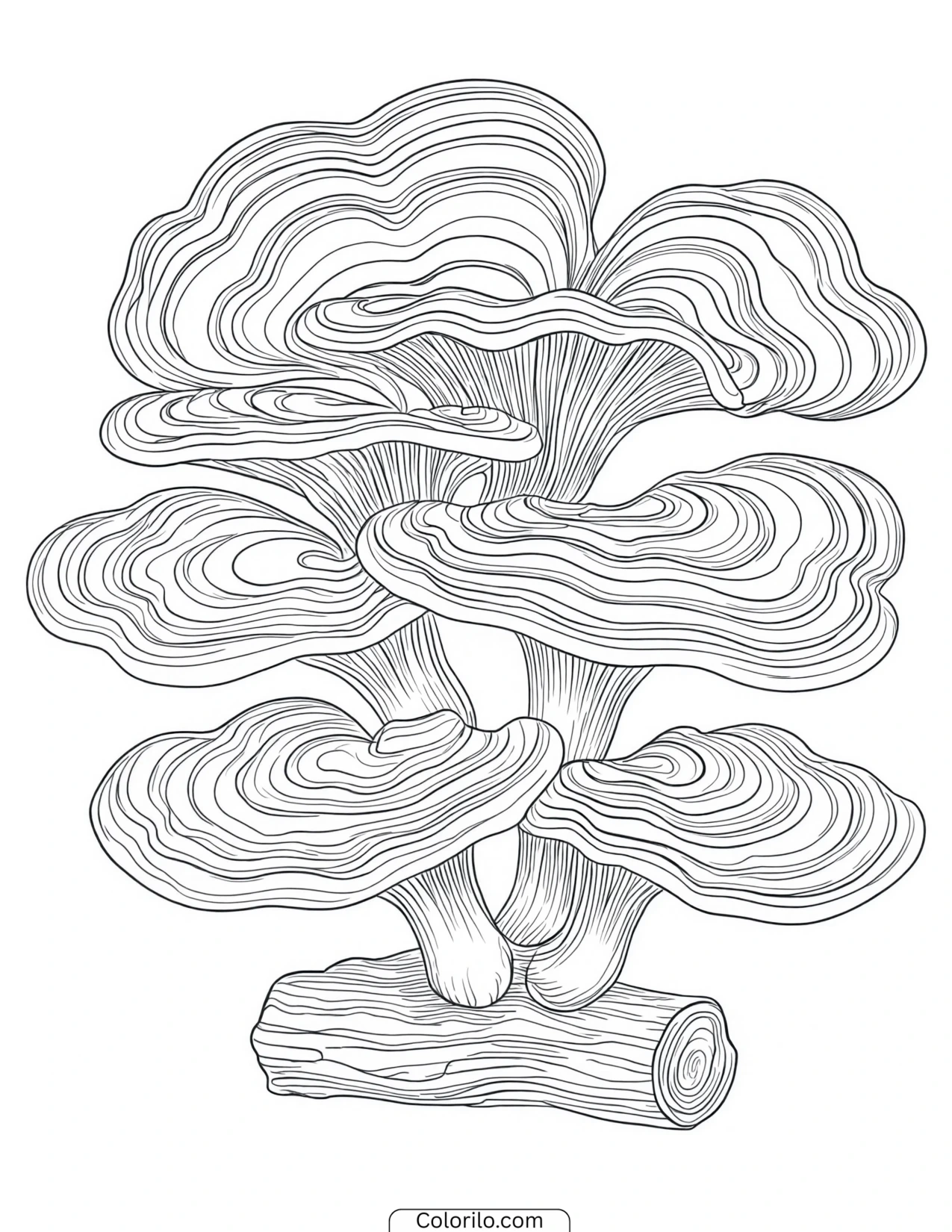 Shelf fungi stacked along a log coloring page