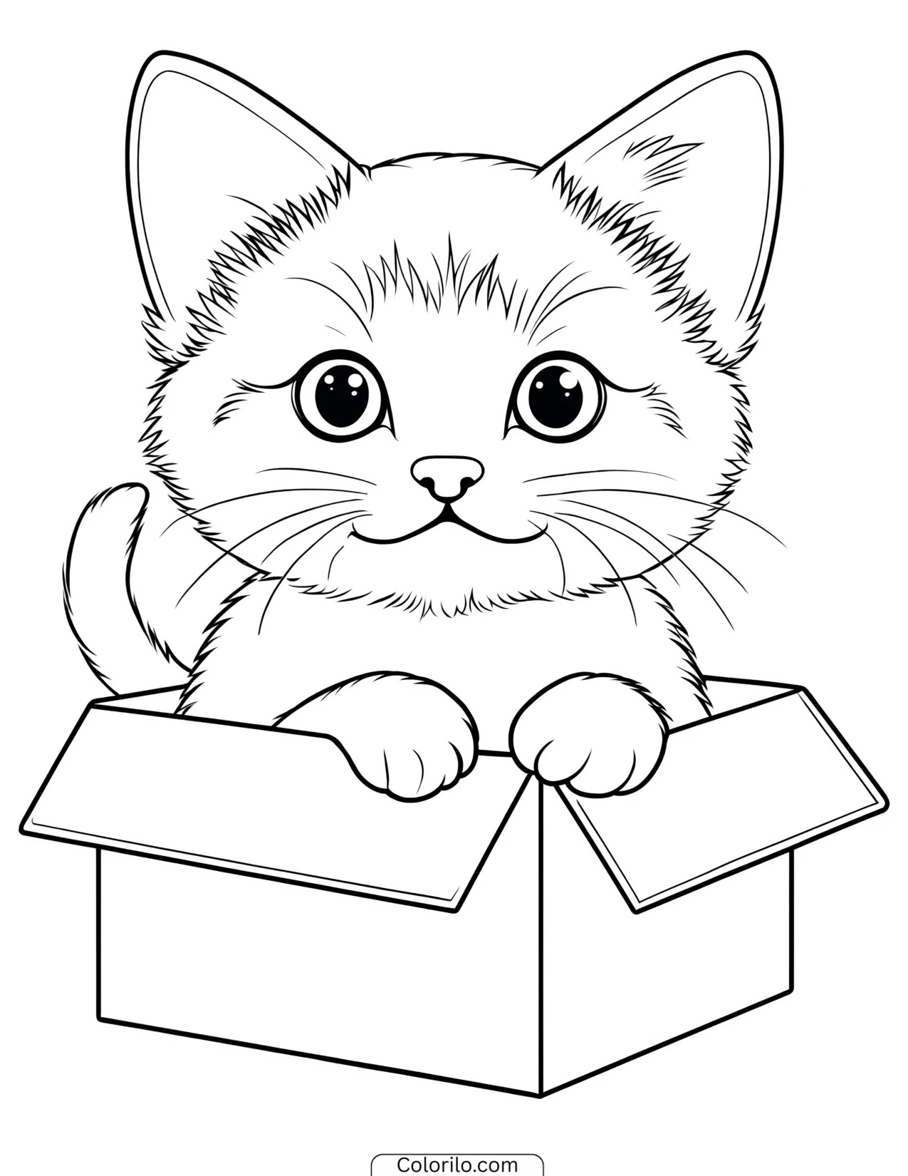 Siamese kitten sitting inside a box coloring page