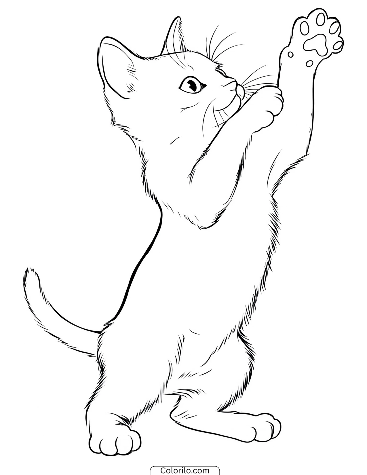 Siamese kitten stretching up on its hind legs coloring page