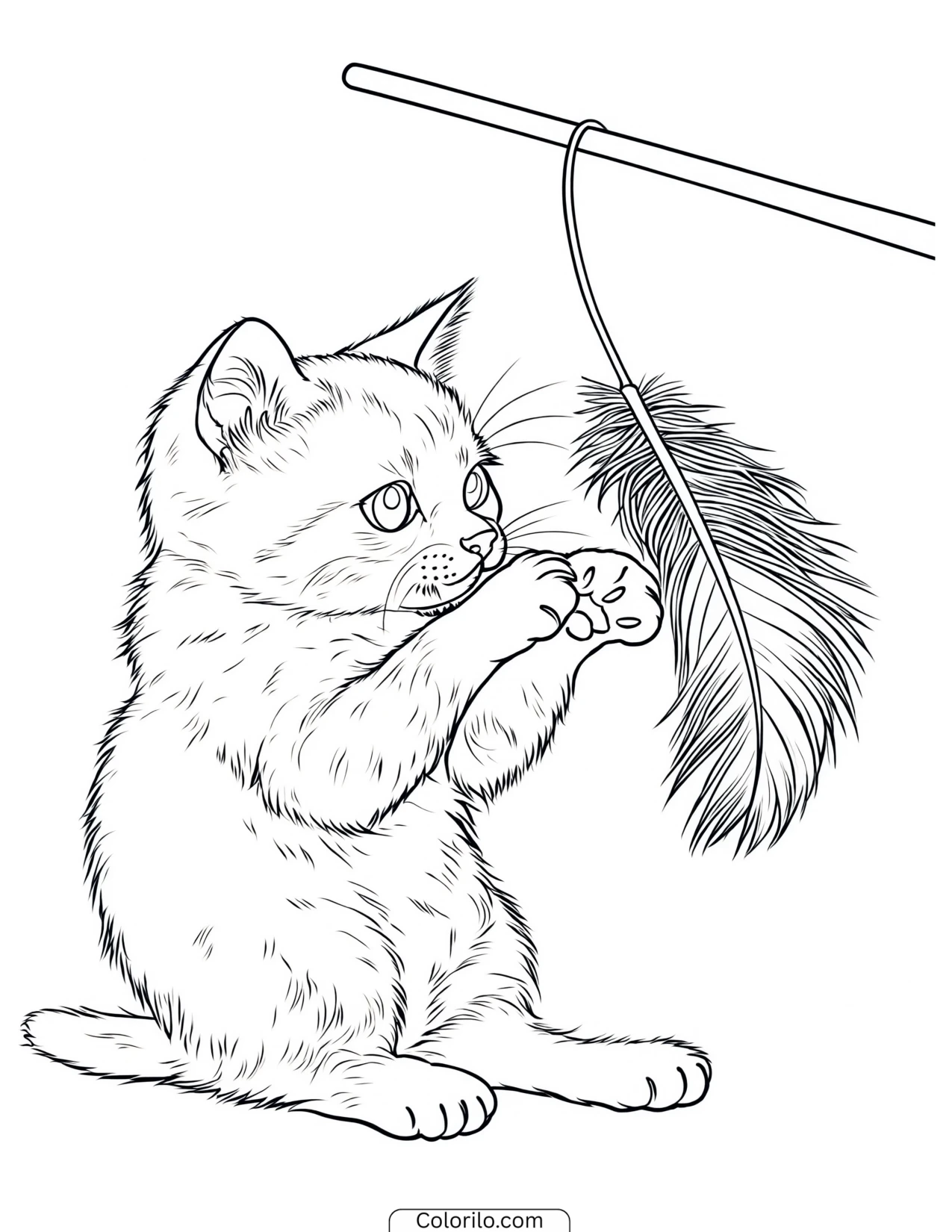 Siamese kitten playing with a wand toy coloring page