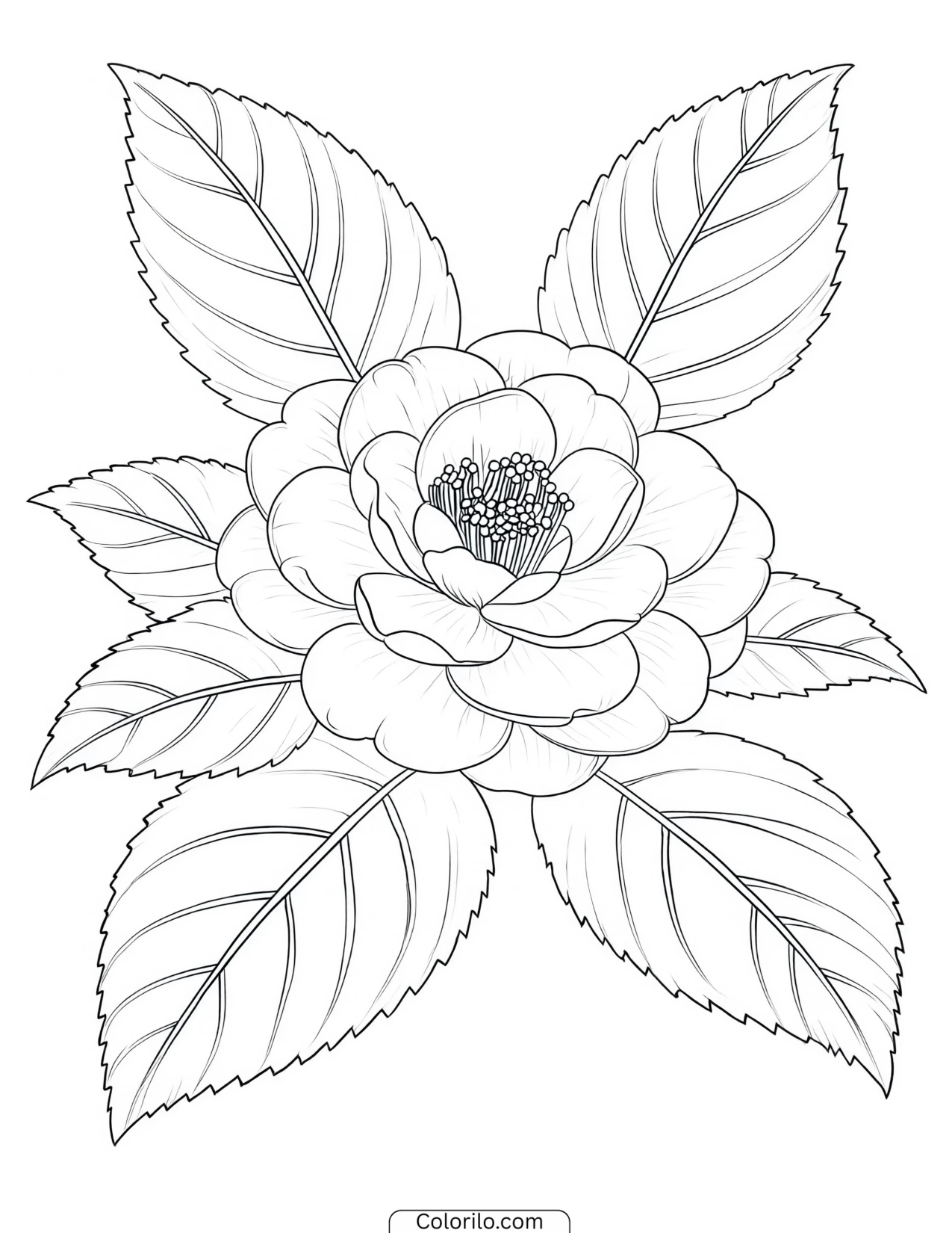 A single flower with its leaves coloring page