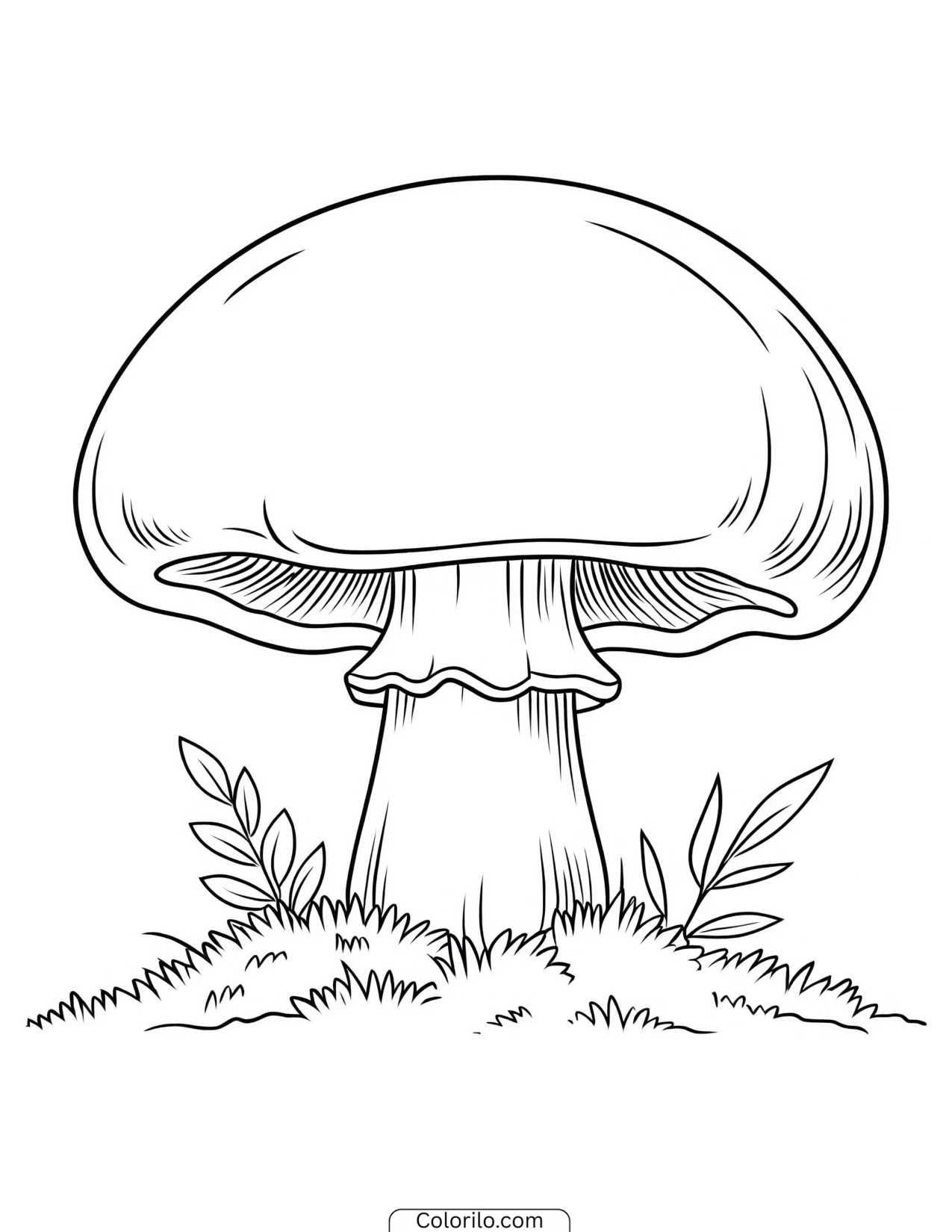 A single mushroom with a broad cap coloring page